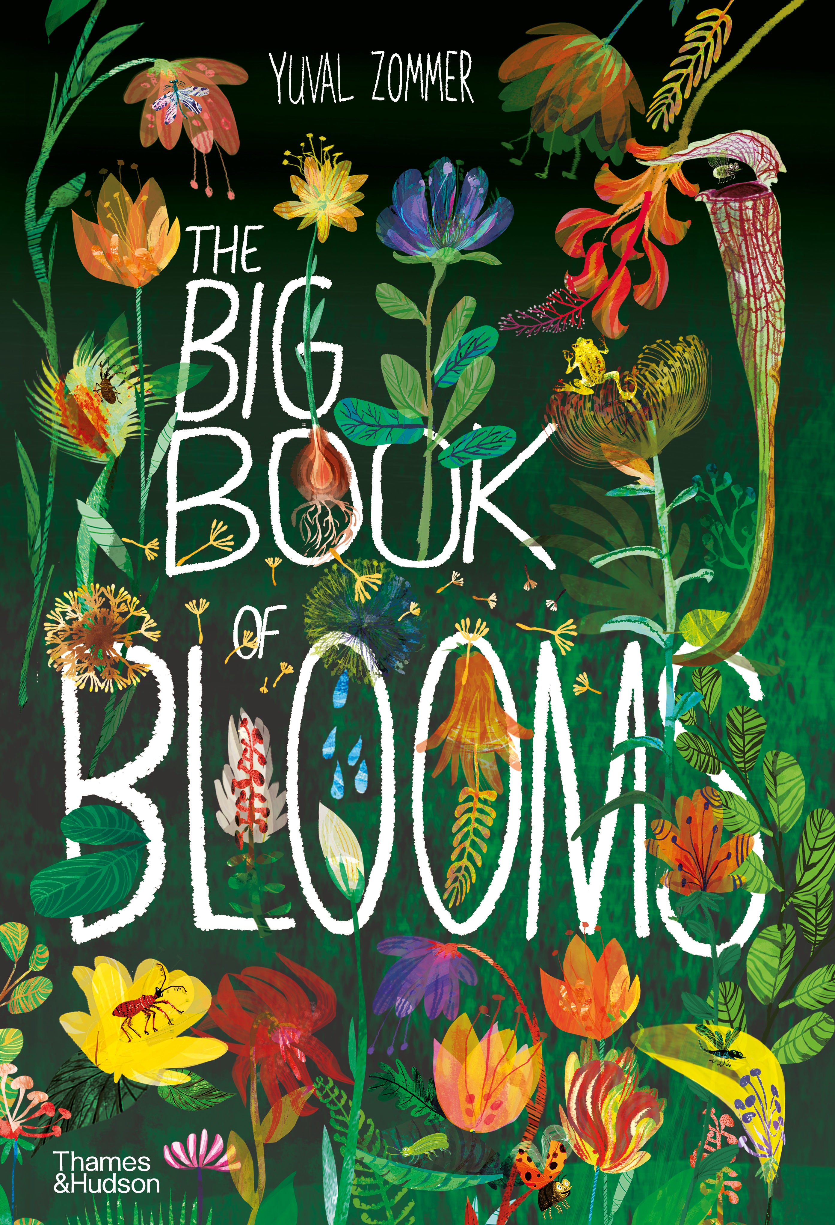 The Big Books for Kids Book Bundle