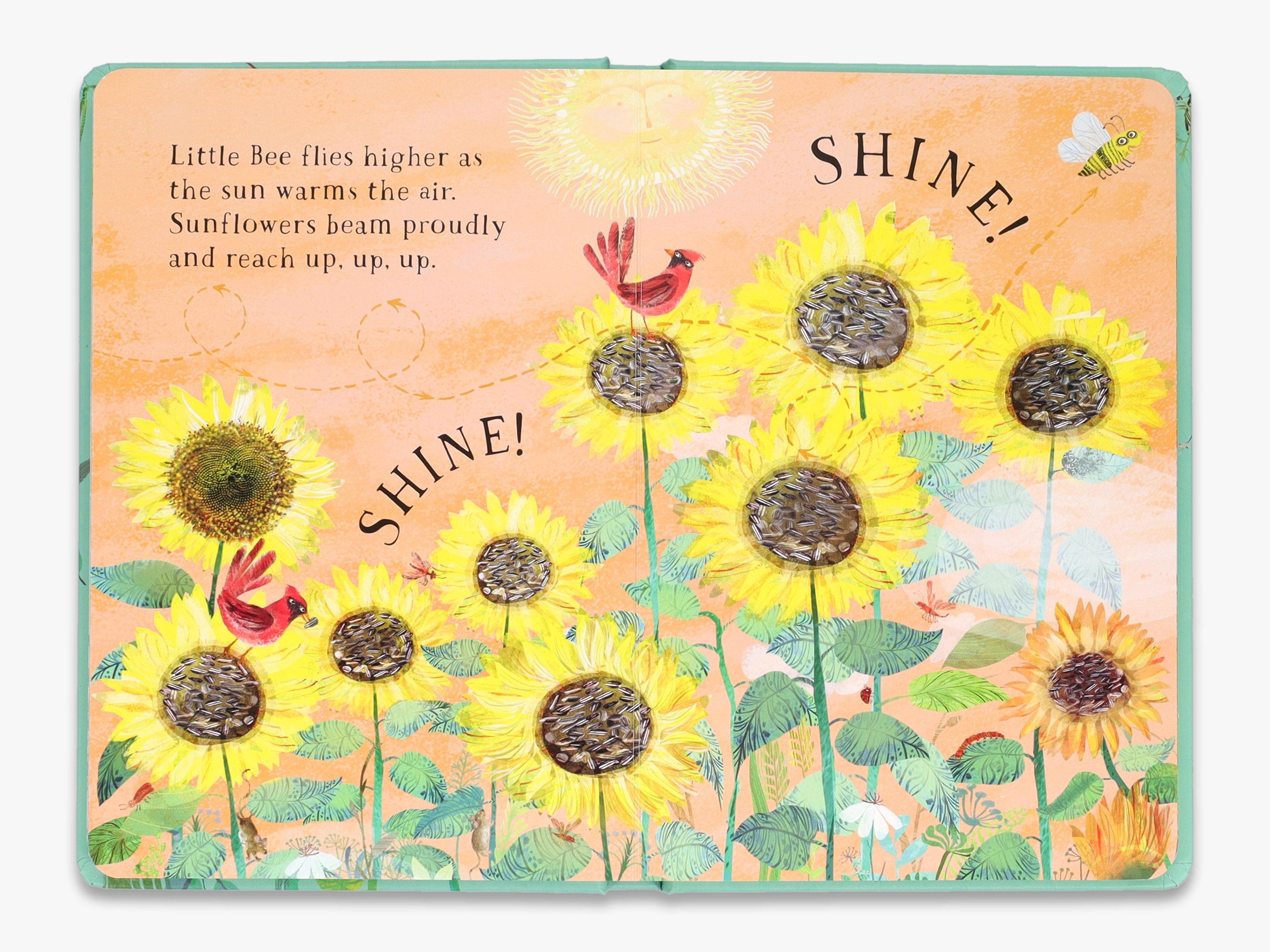 Children - 10 Book Bundle