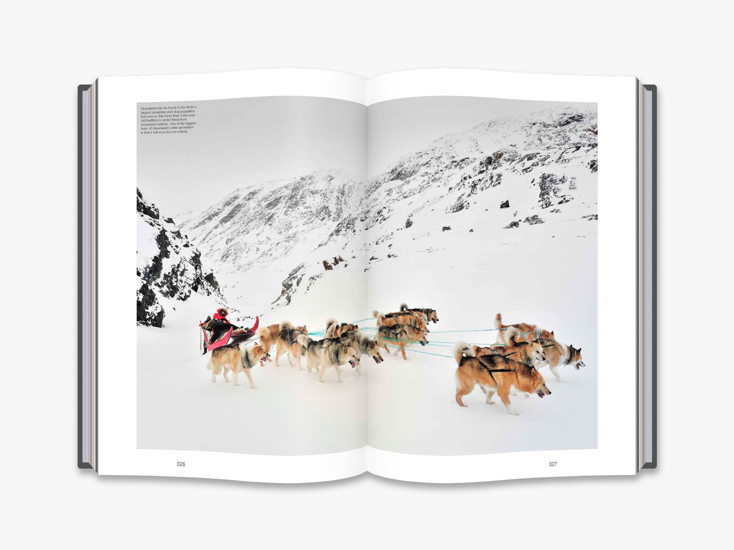 The Monocle Book