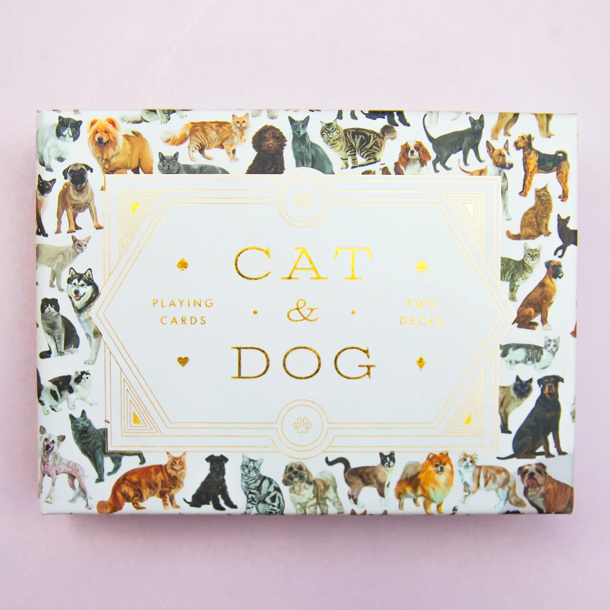 Cats & Dogs for Kids