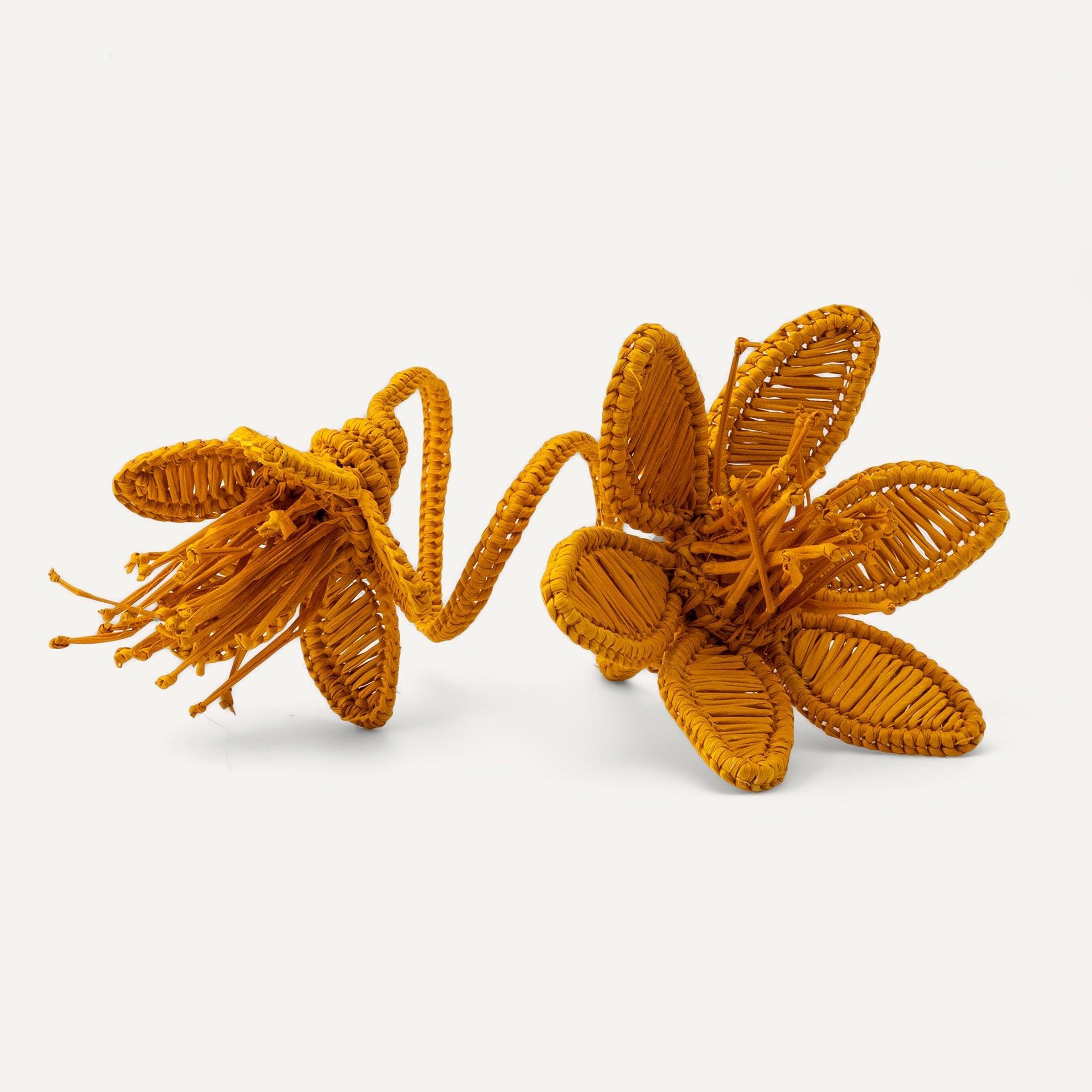 Florencia Napkin Ring Mustard