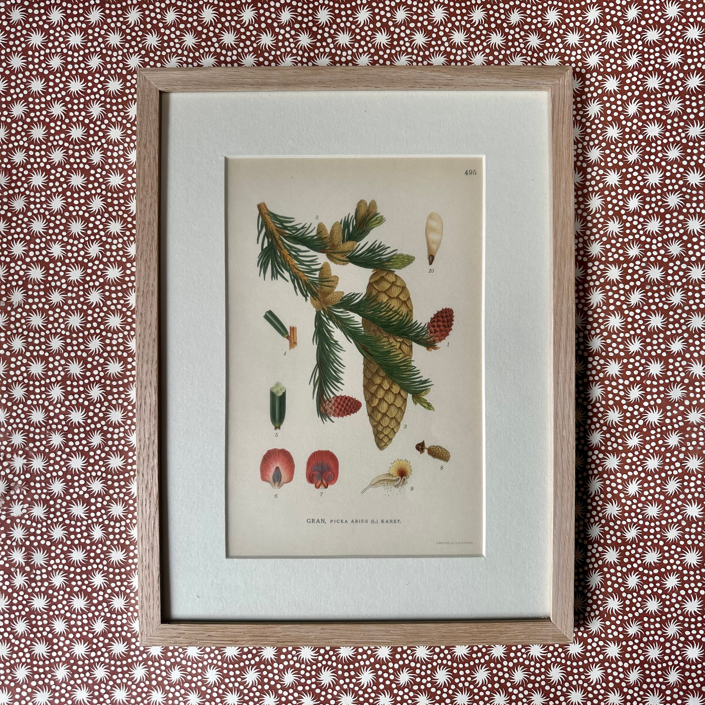 Mix of Vintage Botanical Prints in Green & Red