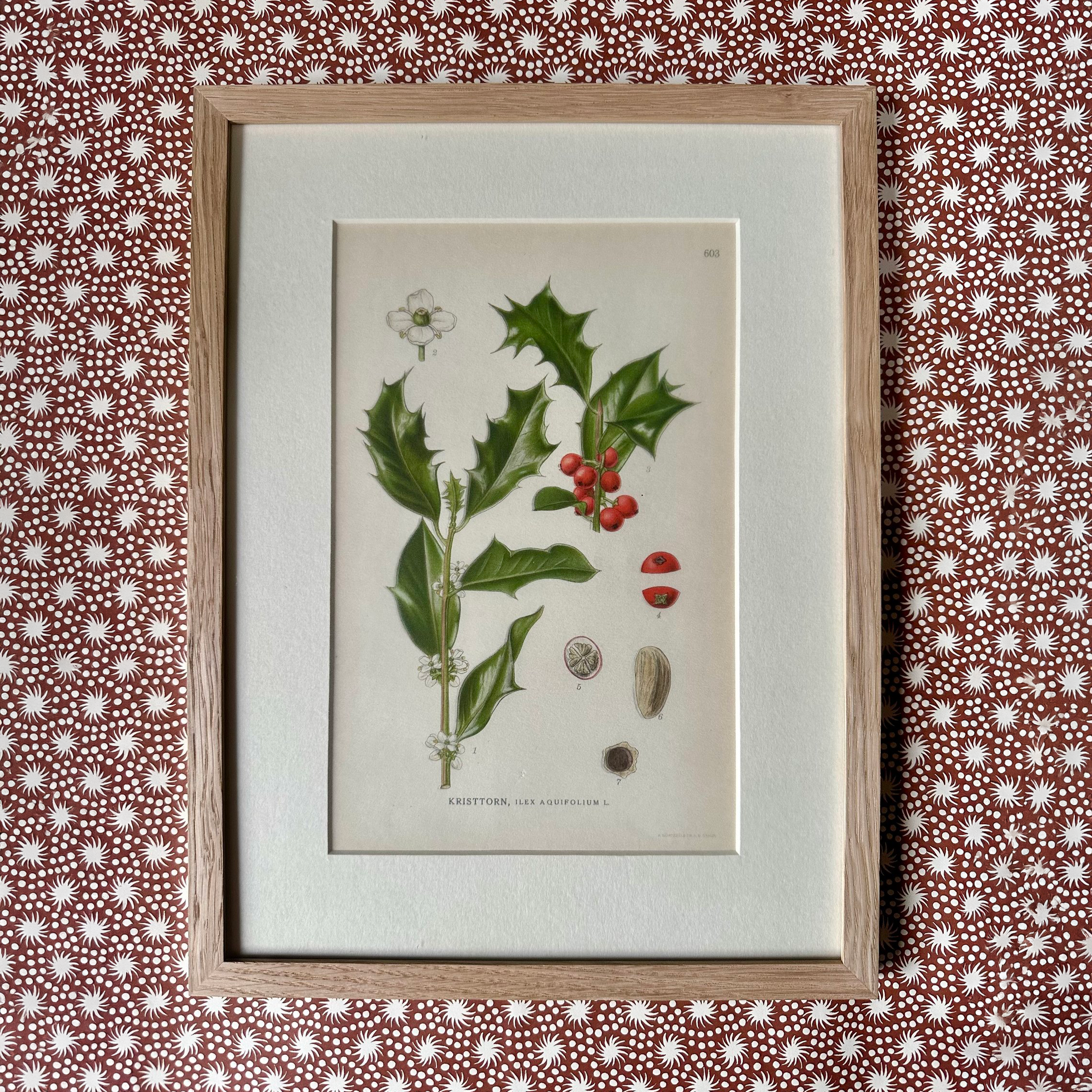 Mix of Vintage Botanical Prints in Green & Red