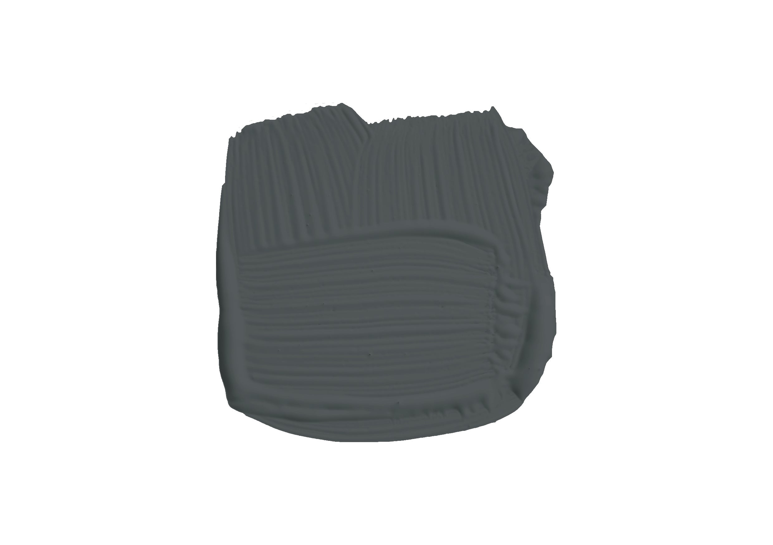 Beetle Black No.G16