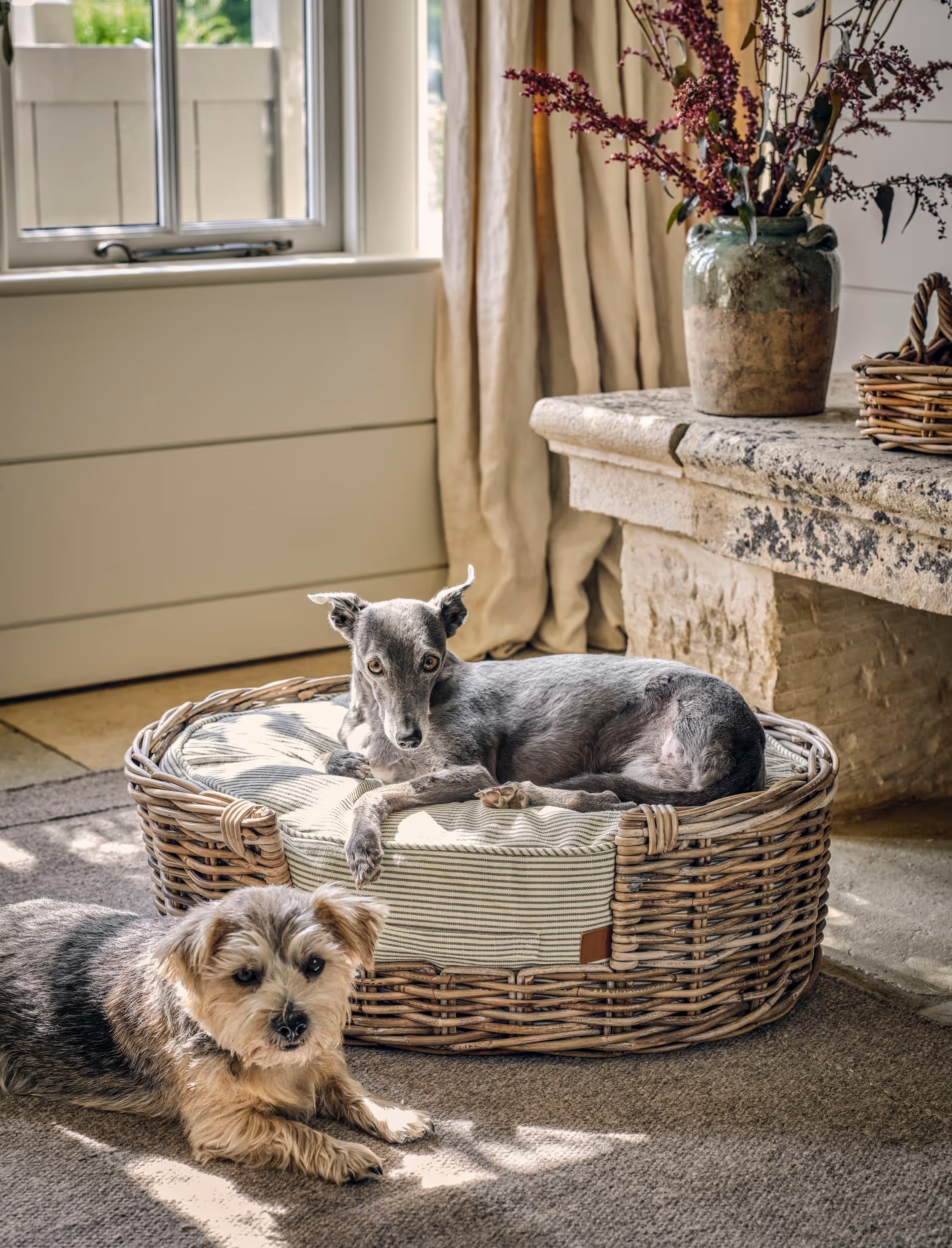 Bembridge Pet Bed