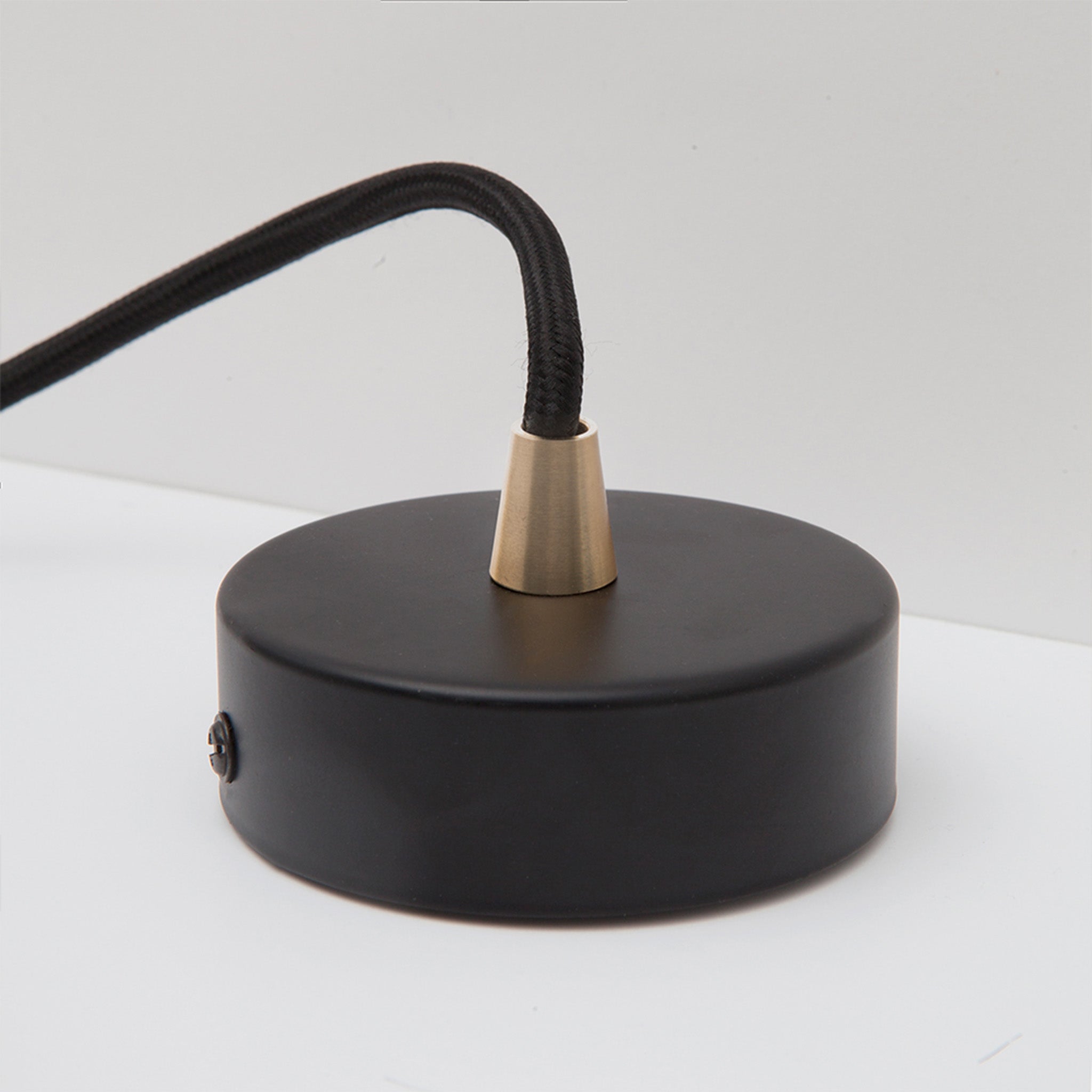 Oval Dim-to-Warm Pendant Light in Brass