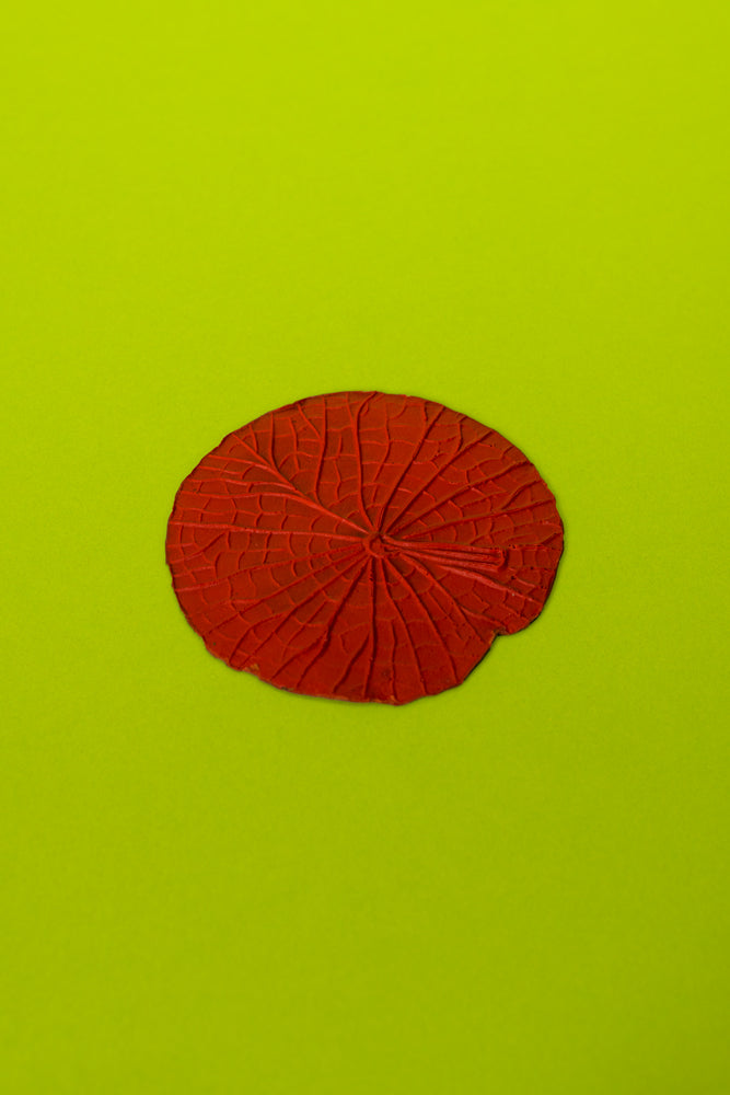 Vitória-Régia Organic Latex Coaster, Red