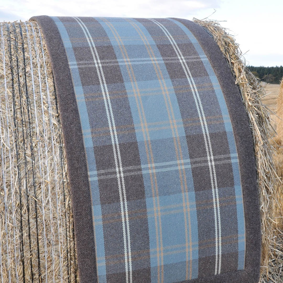 Cadboll Runner
