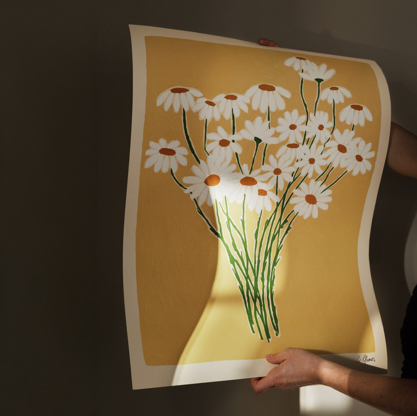 Daisies Print by Carla Llanos