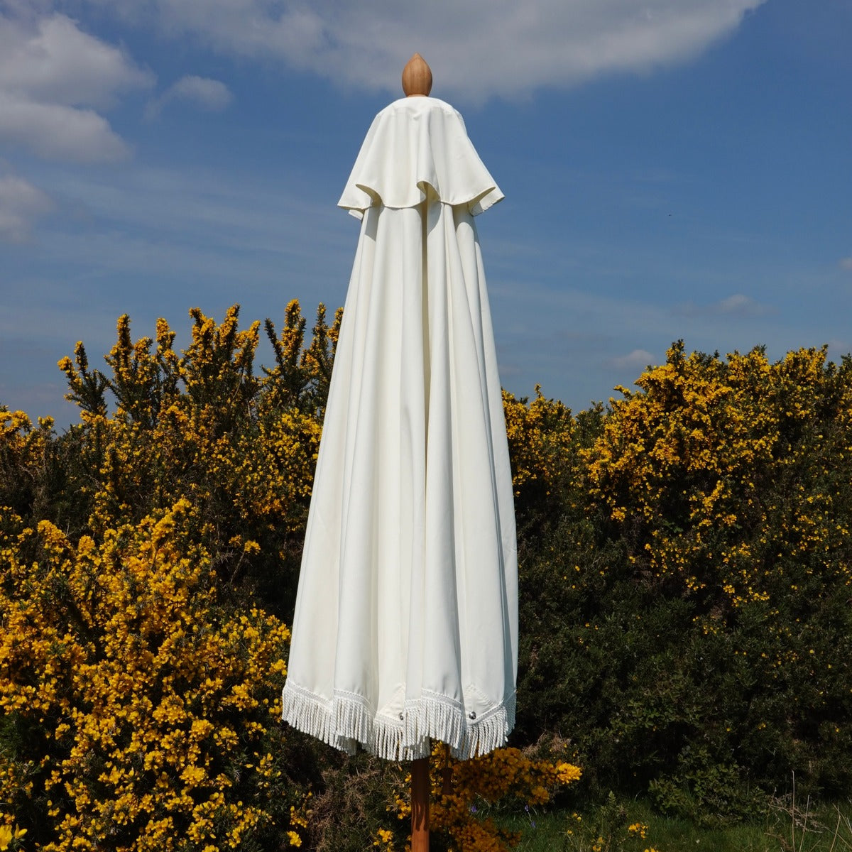 Double Cream Fringed Parasol