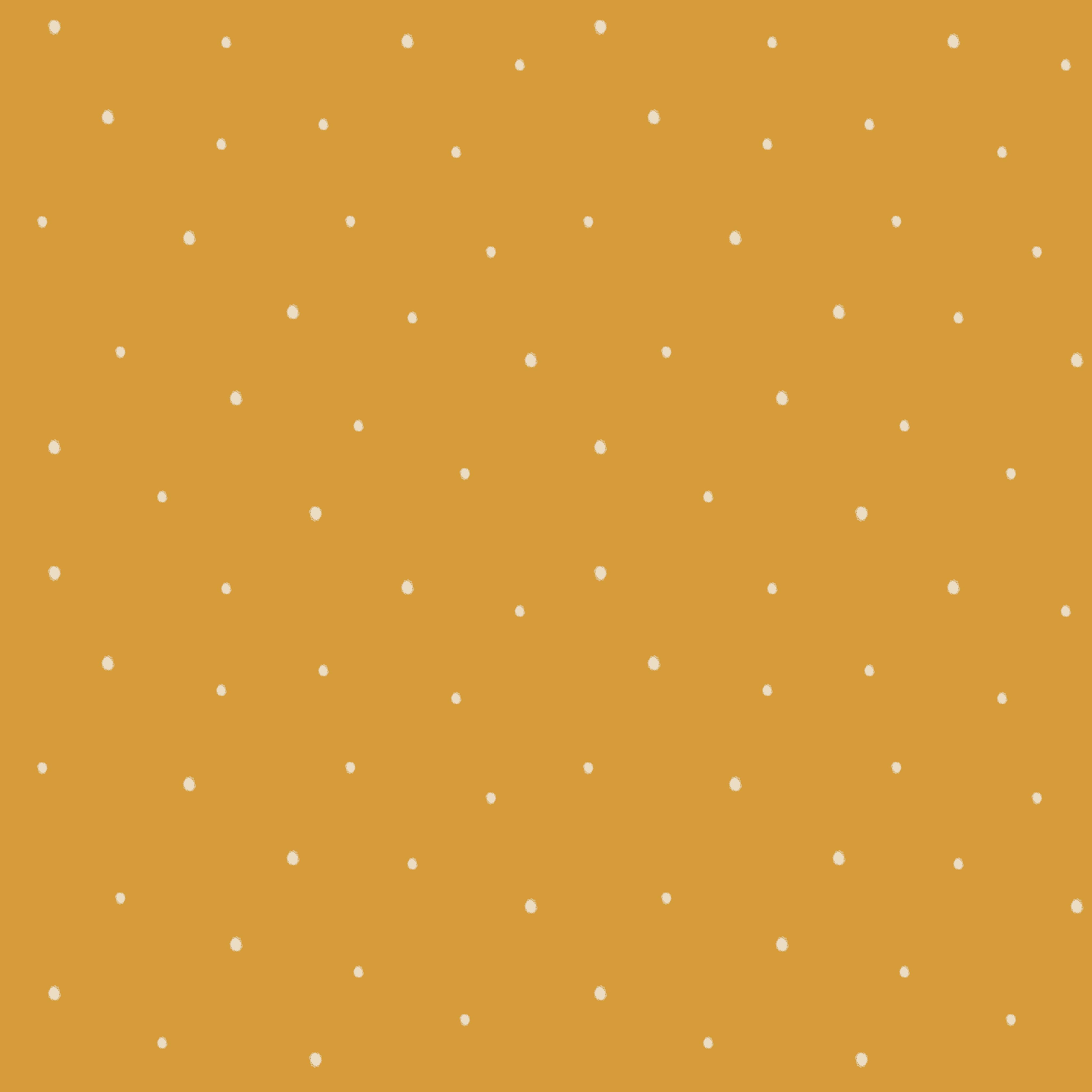 Dolce Daisies Wallpaper, Cannoli, Sample