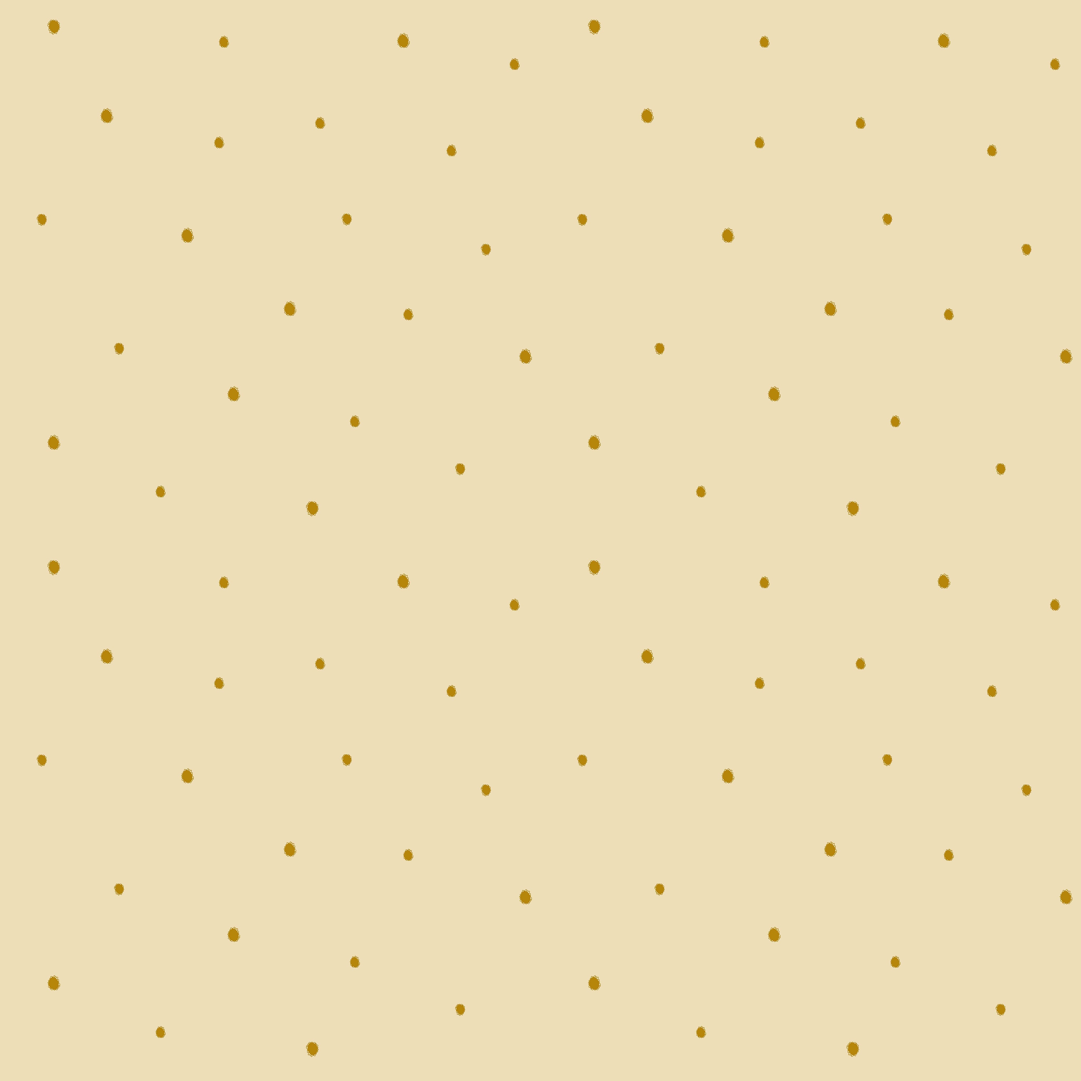 Dolce Daisies Wallpaper, Limoncello, Roll