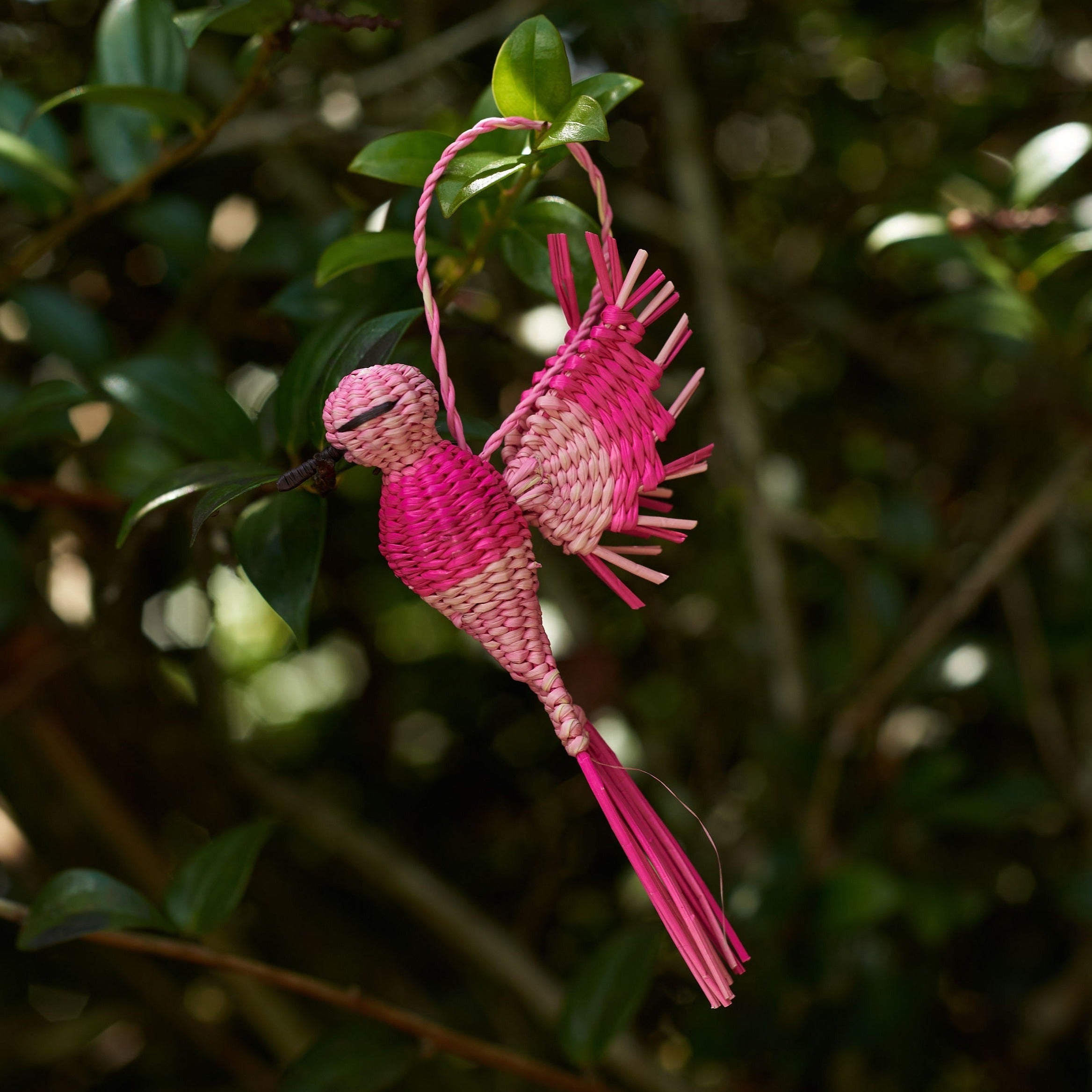 Palmito Woven Hummingbird Baubles (Set of 4)