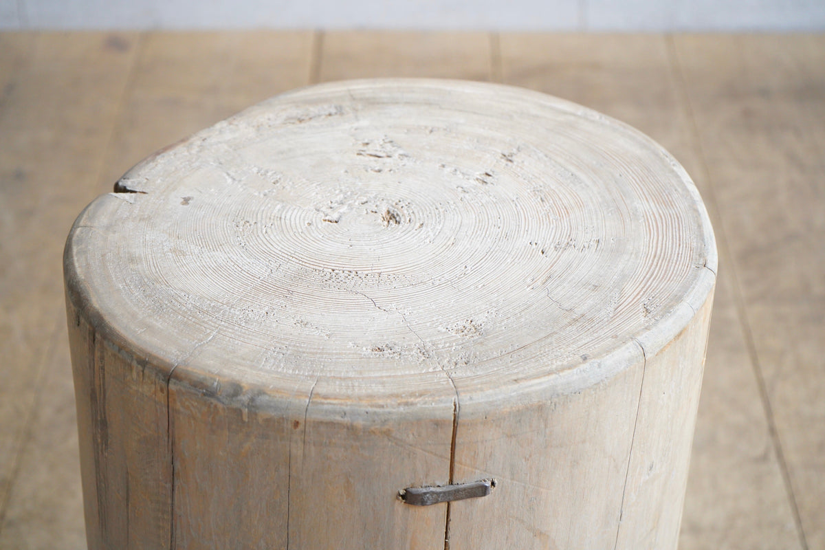 Elm Tree Stump