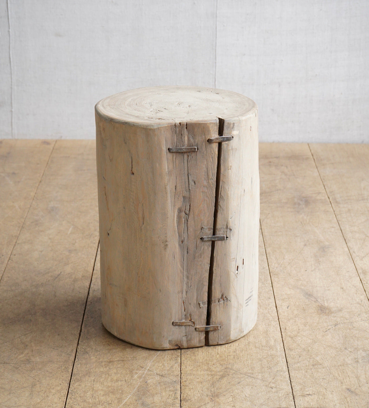 Elm Tree Stump