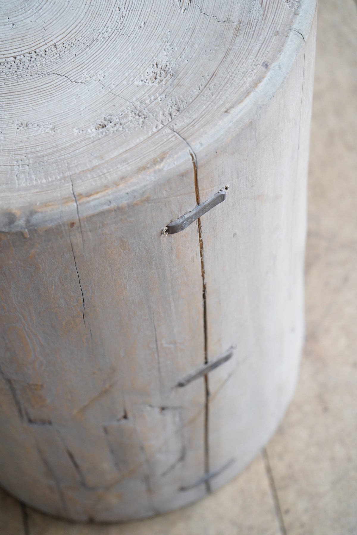 Elm Tree Stump