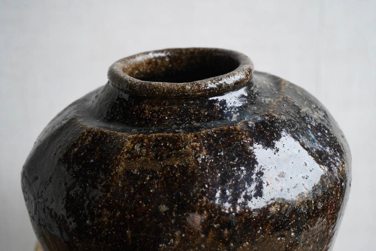 19c Chinese Preserve Jar