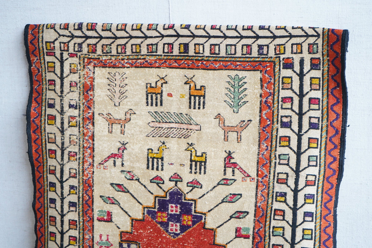 Middle Eastern Rug