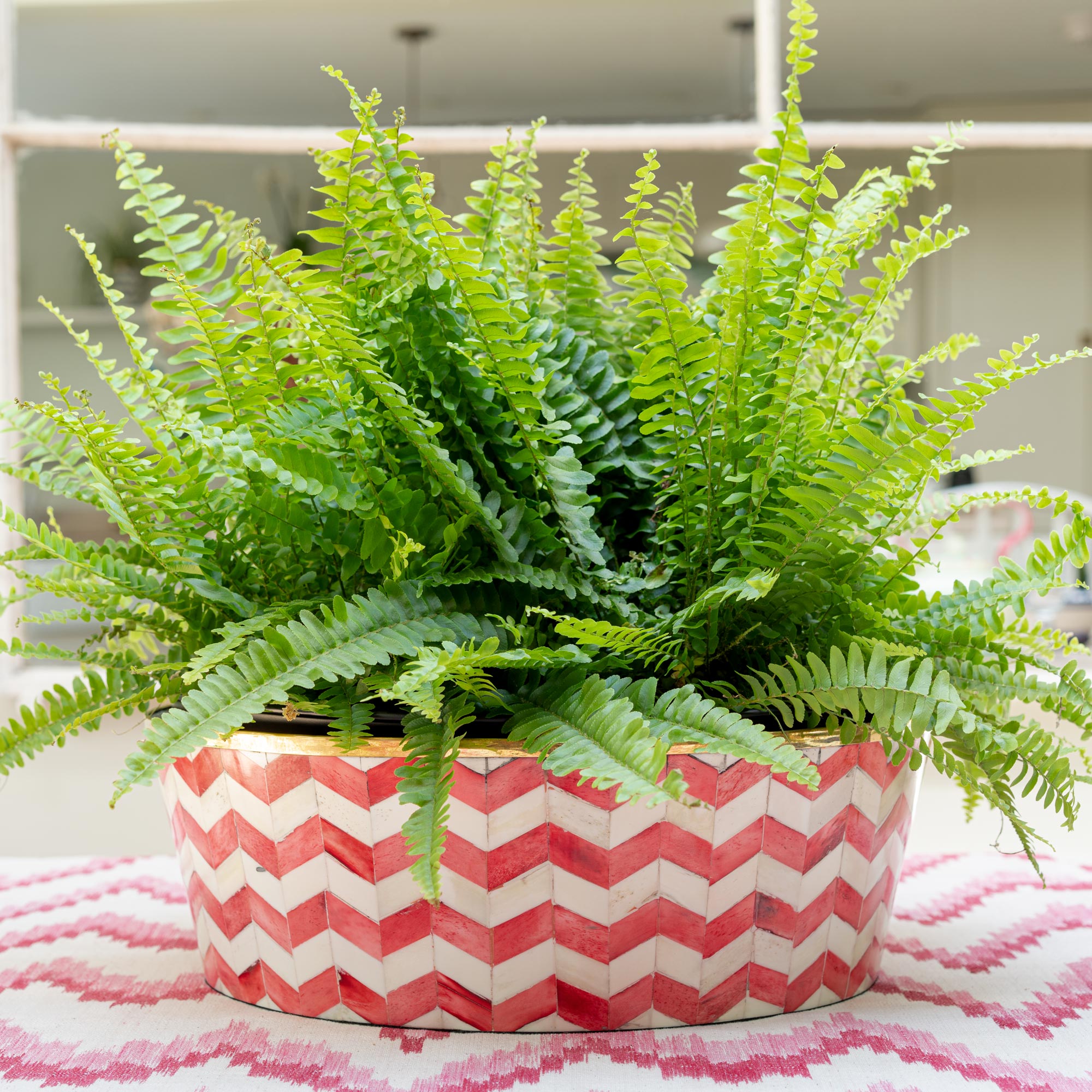 Round Inlay Planter | Large | Red | Chevron