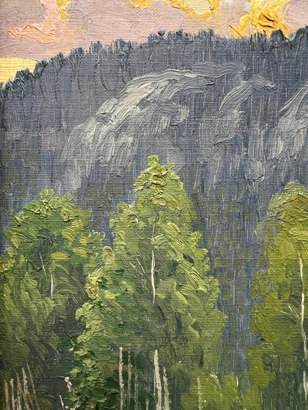 FOREST SUNSET