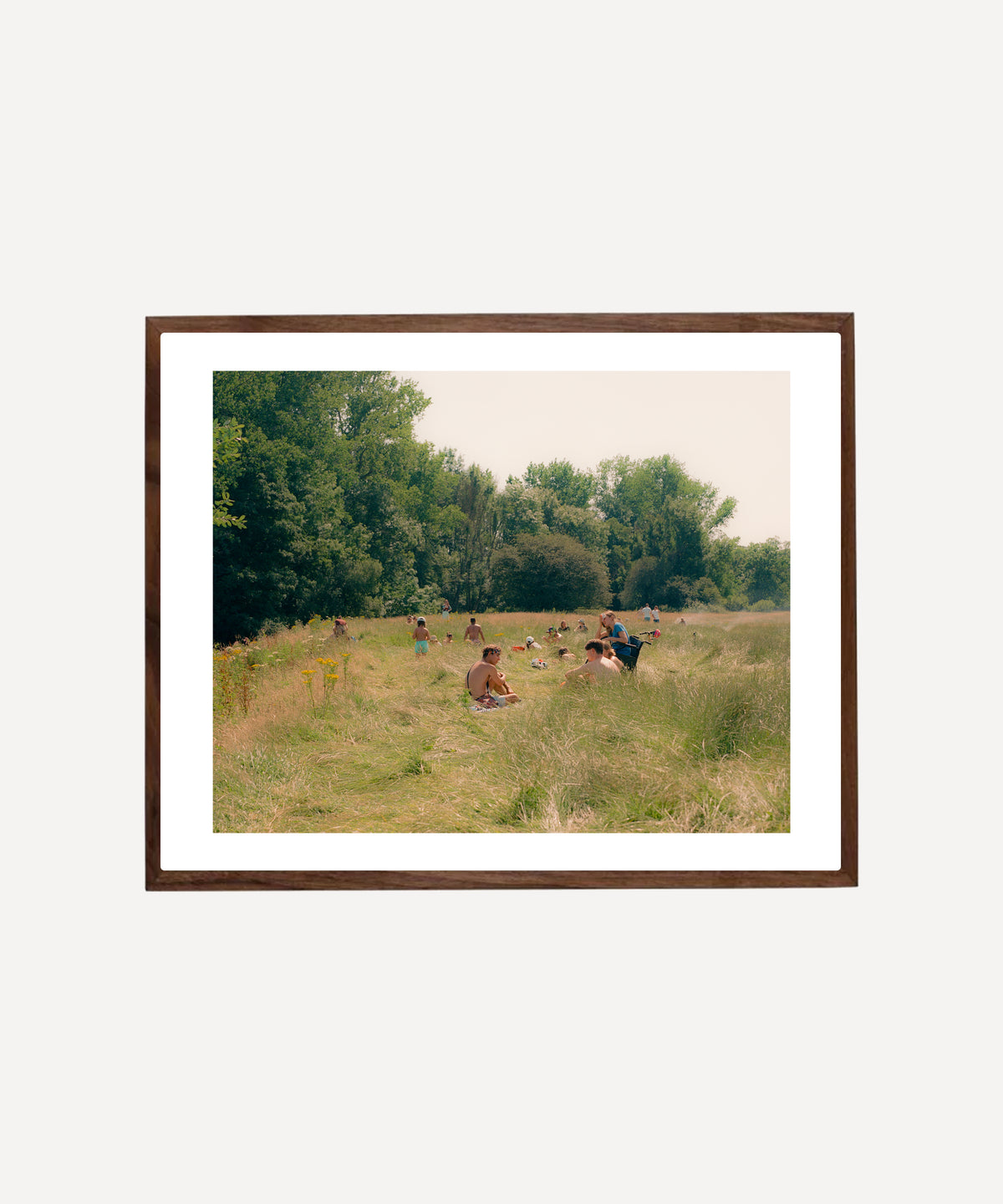Heatwave Meadow - Limited Edition Print