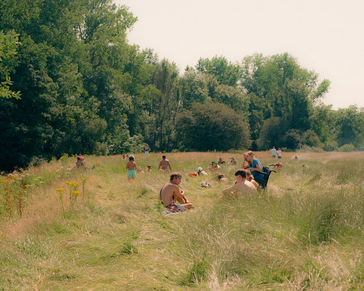 Heatwave Meadow - Limited Edition Print