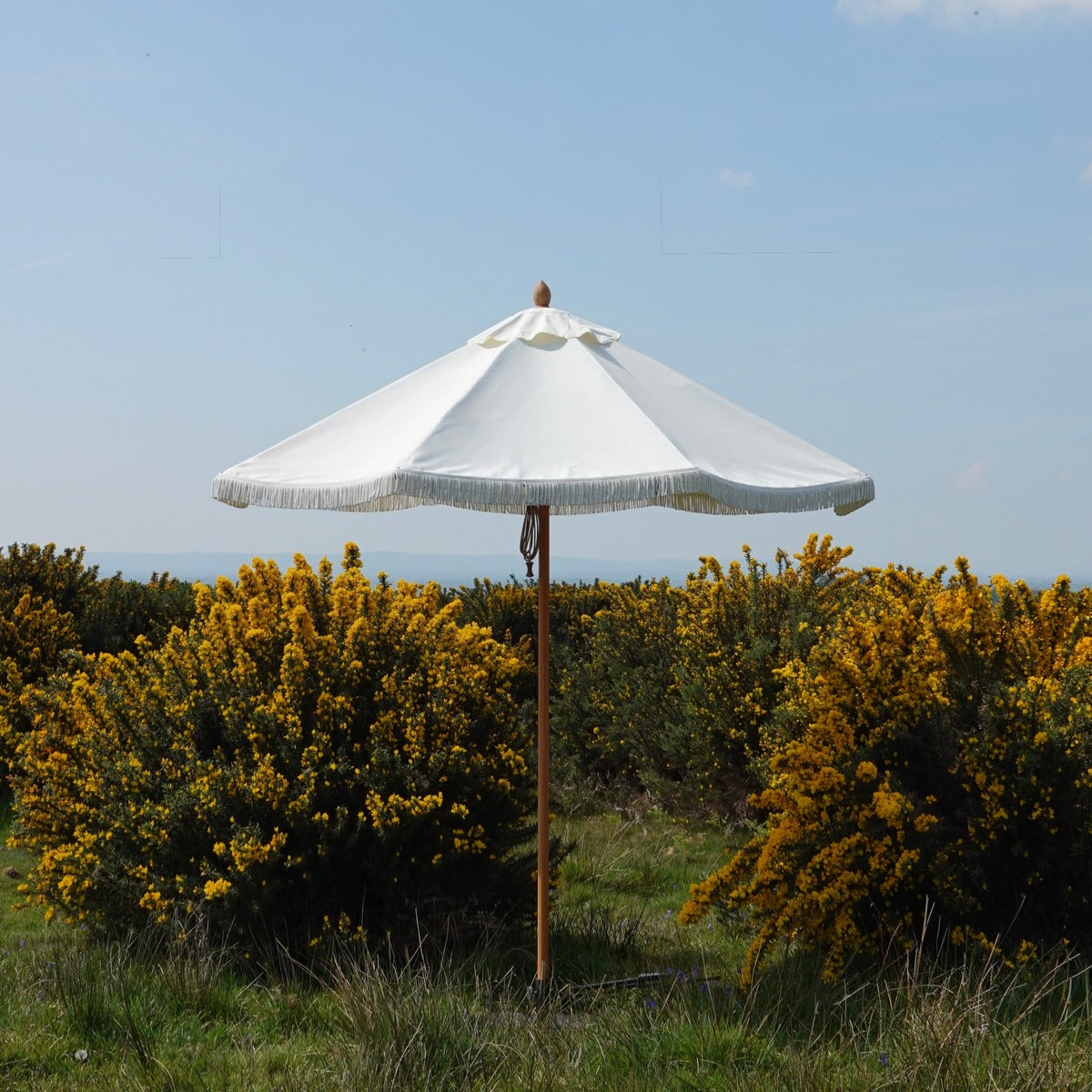 Double Cream Fringed Parasol