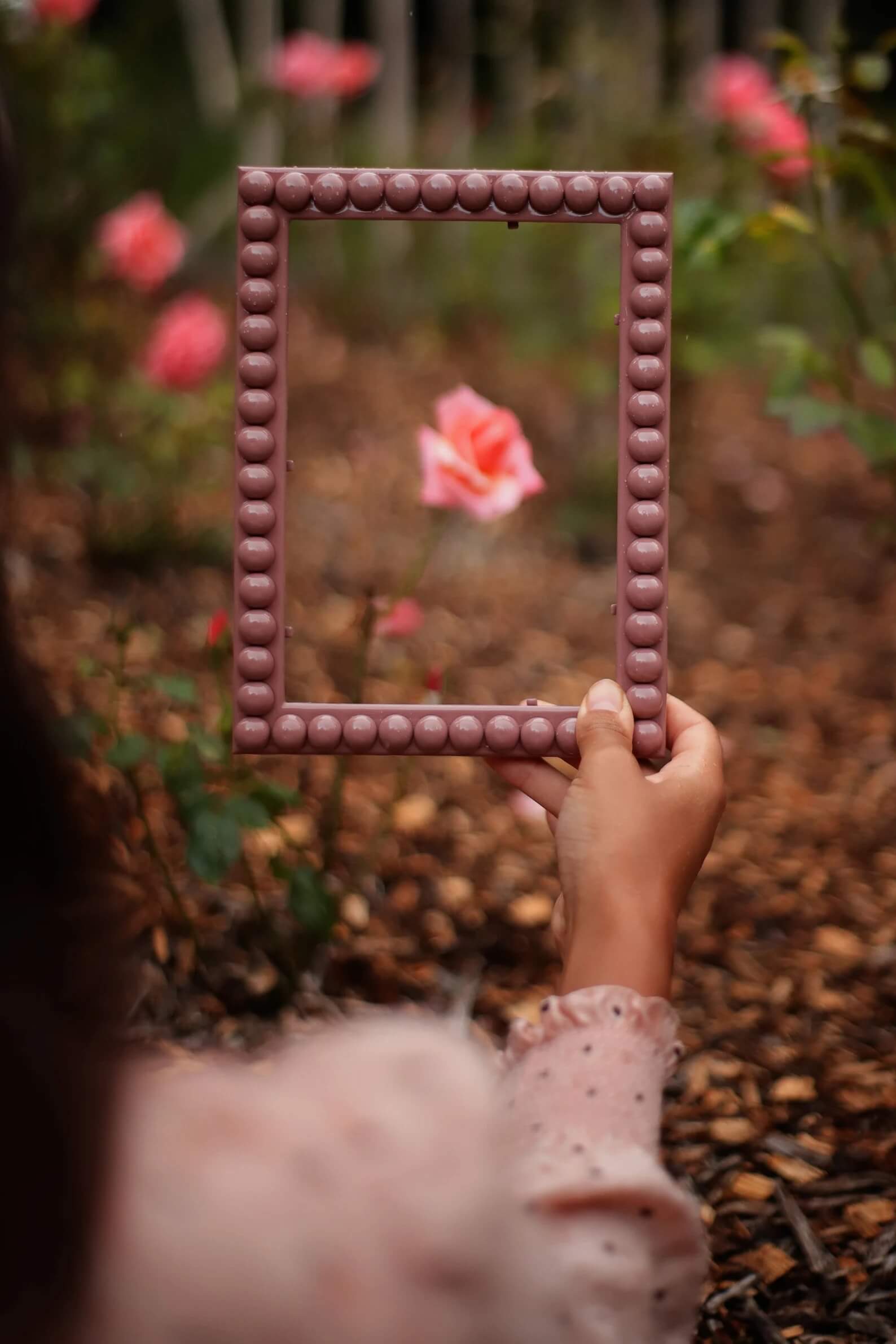 Dusty Rose Bobbin Frame