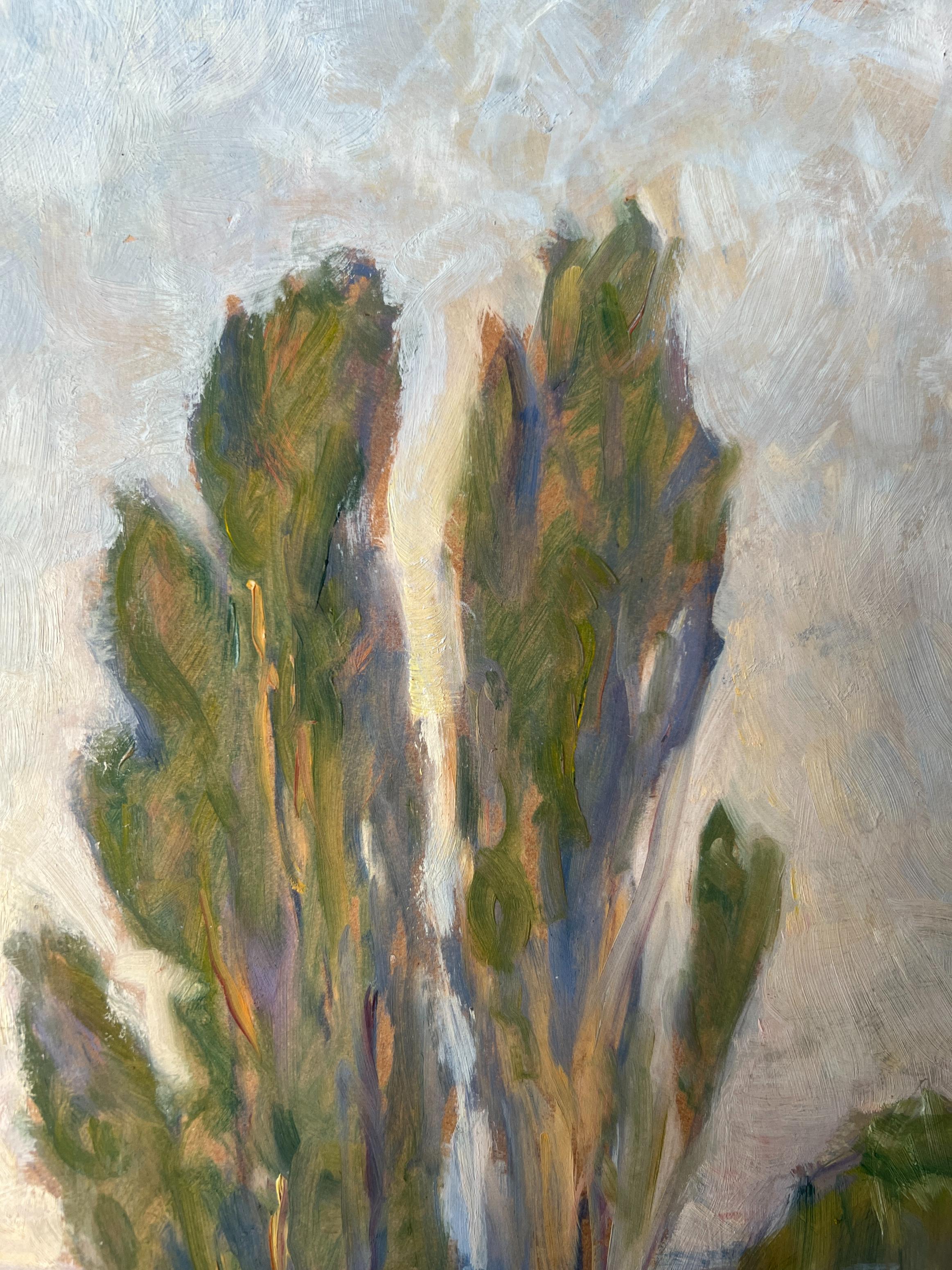 COASTAL POPLARS
