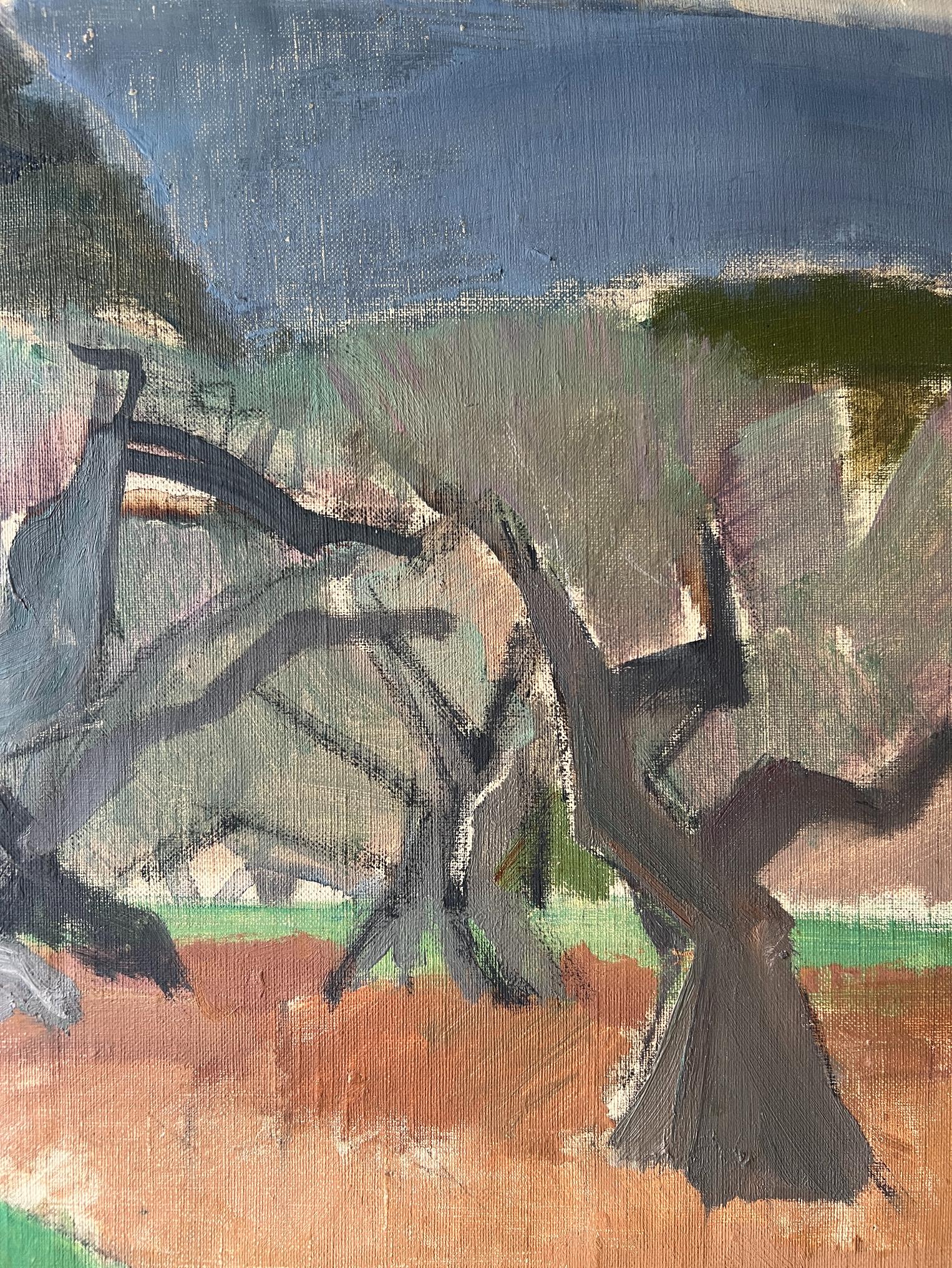 OLIVE + PINE TREES