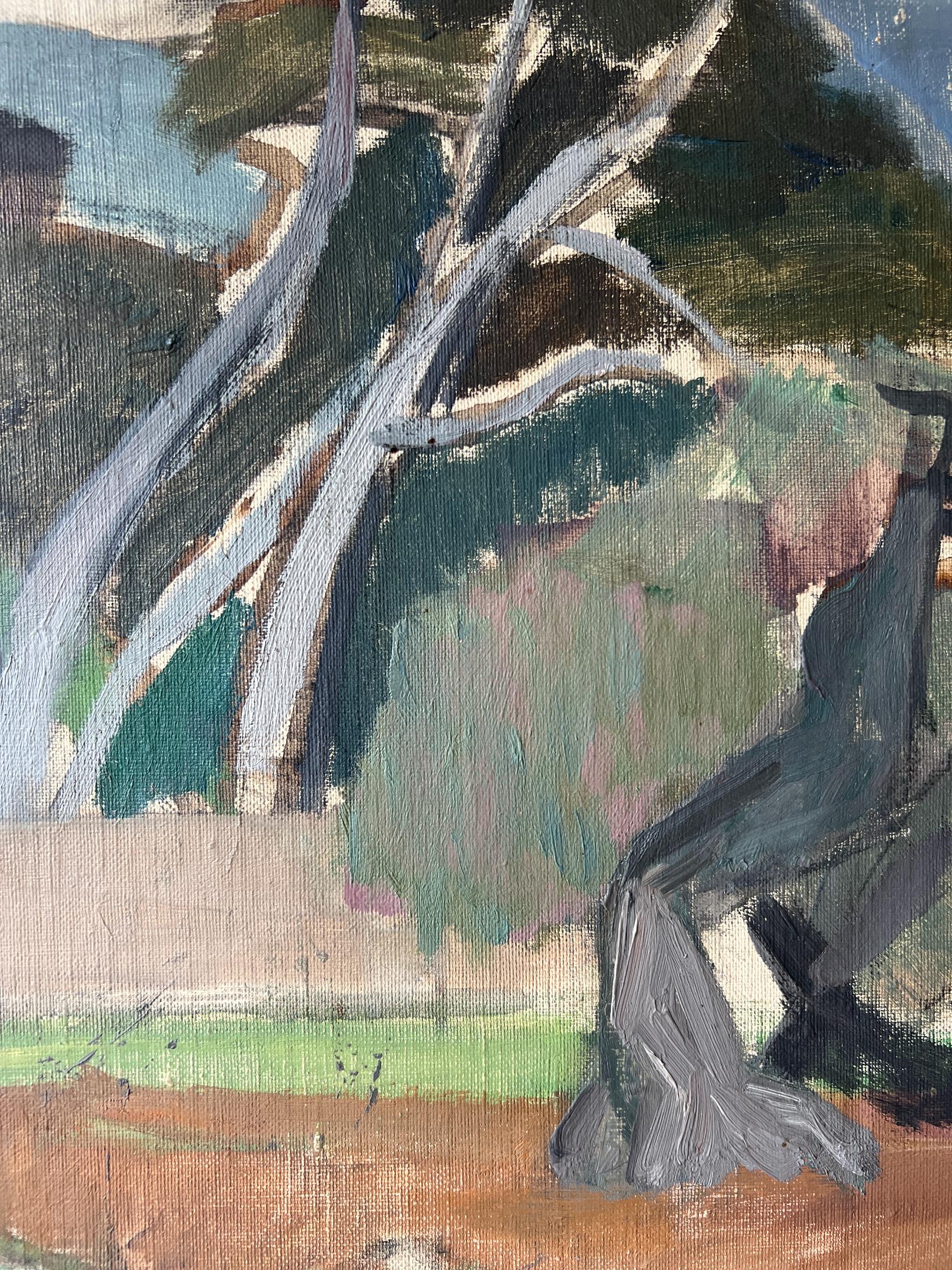 OLIVE + PINE TREES