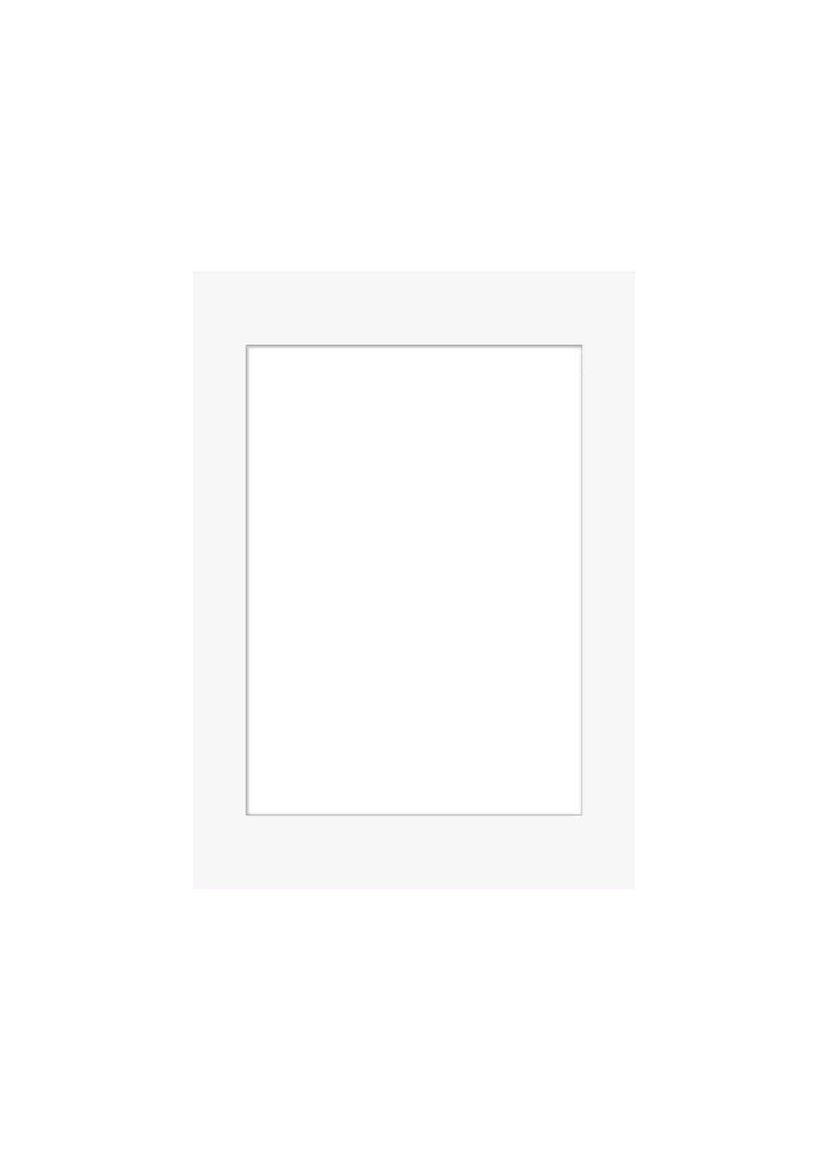 White Picture Frame Mount