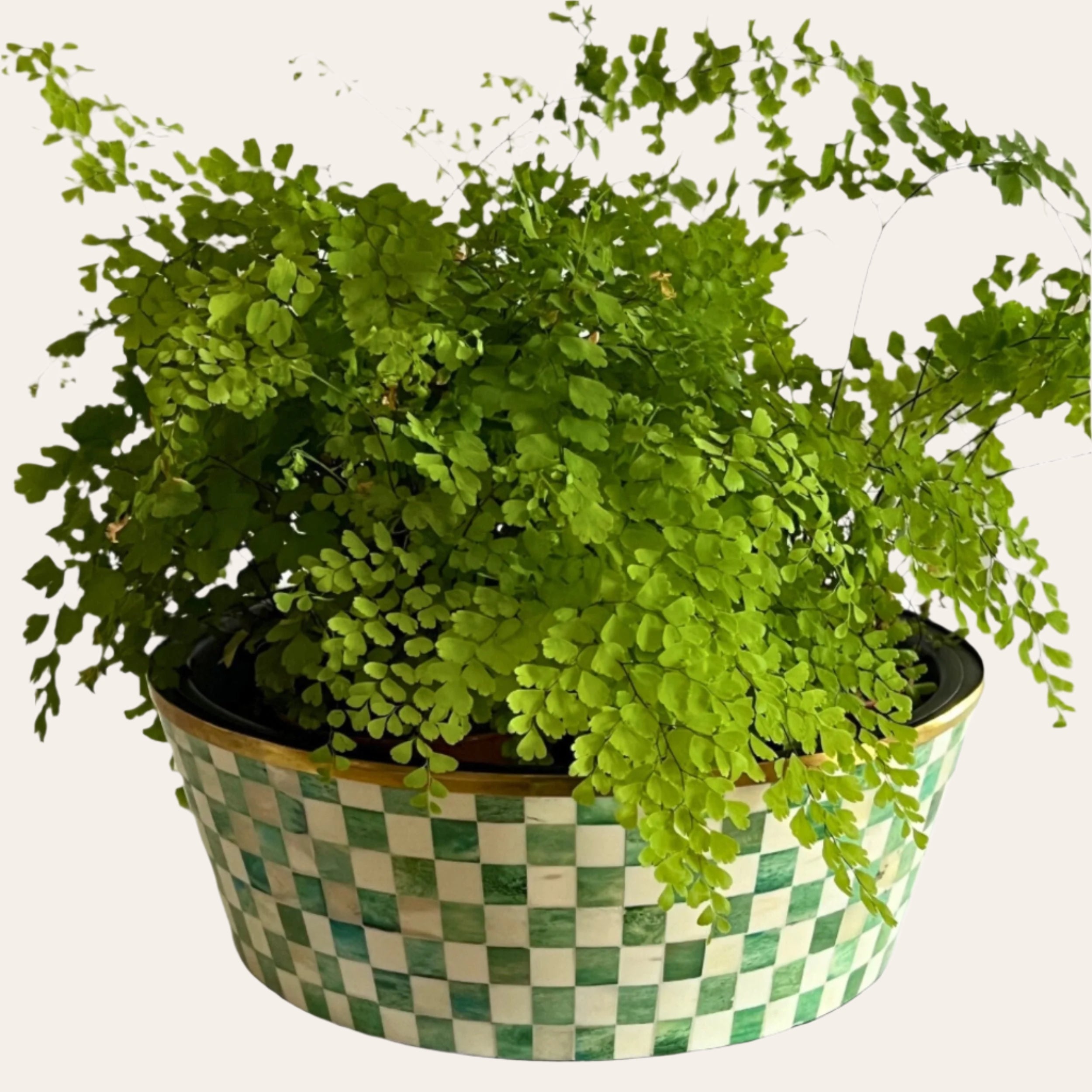 Round Inlay Planter | Large | Green | Chequered