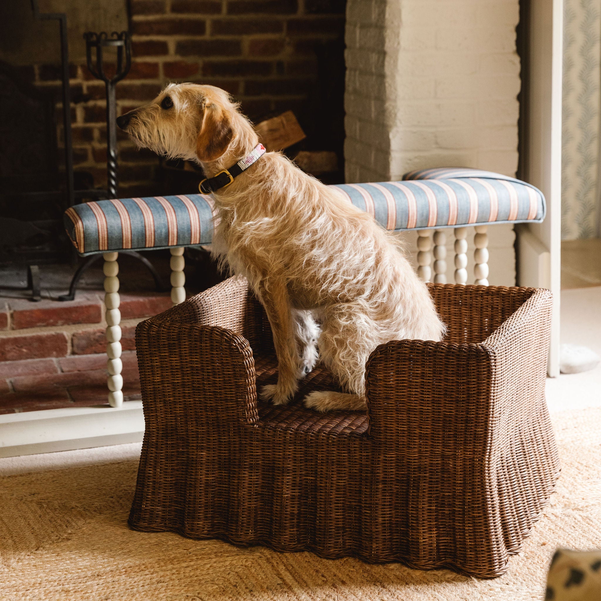 Lassie Wavy Rattan Dog Bed