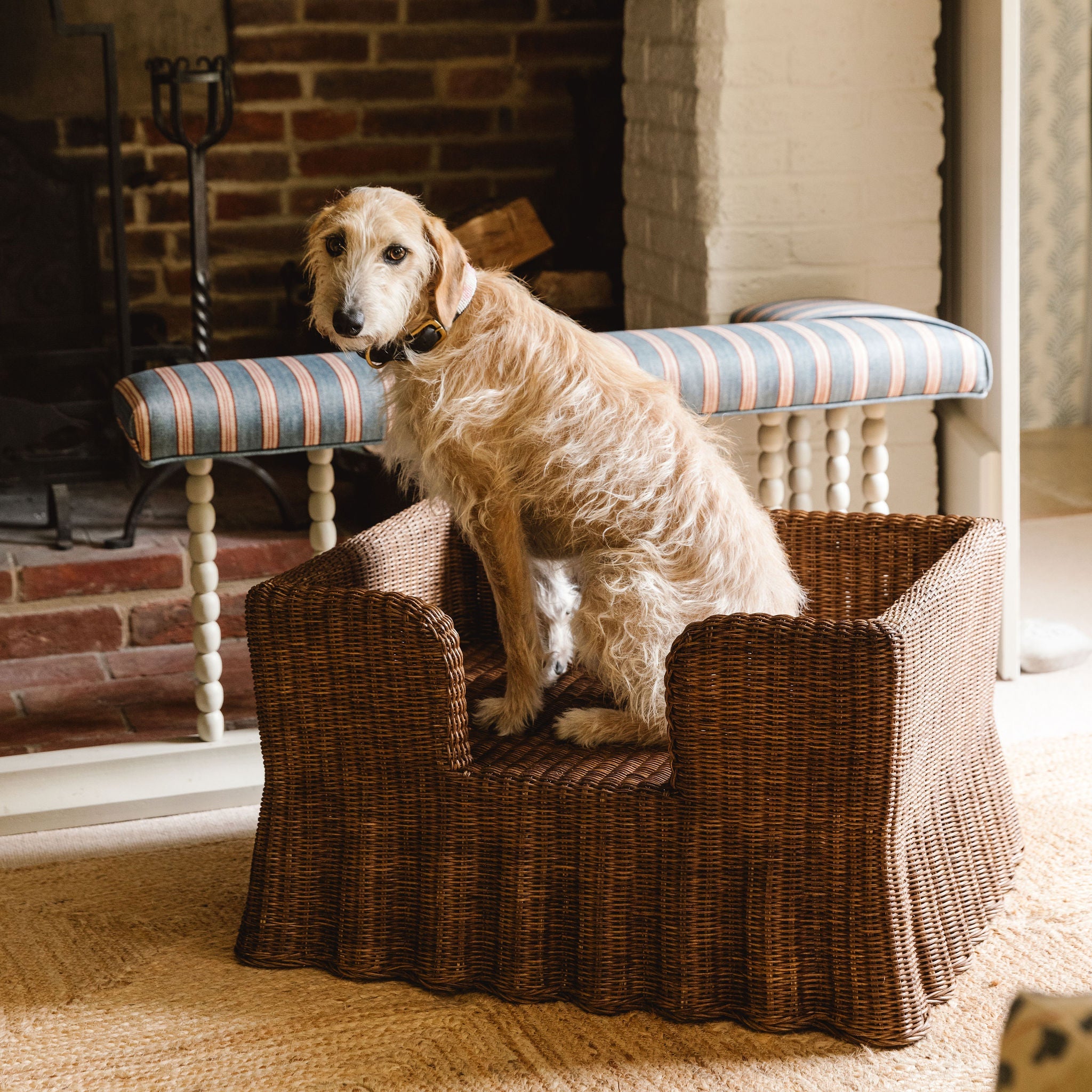Dog bed rattan 2025