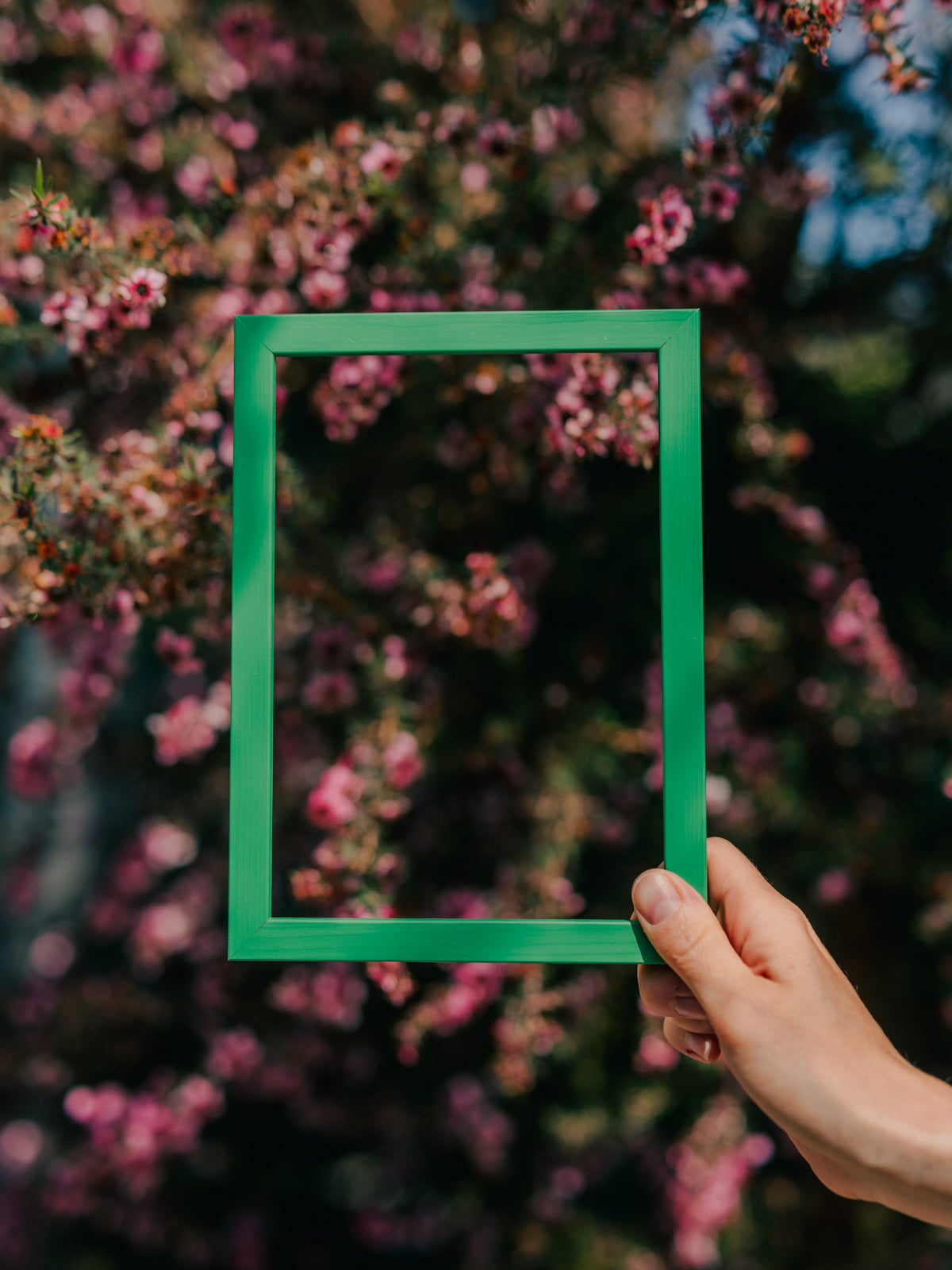 Emerald Green Wood Picture Frame