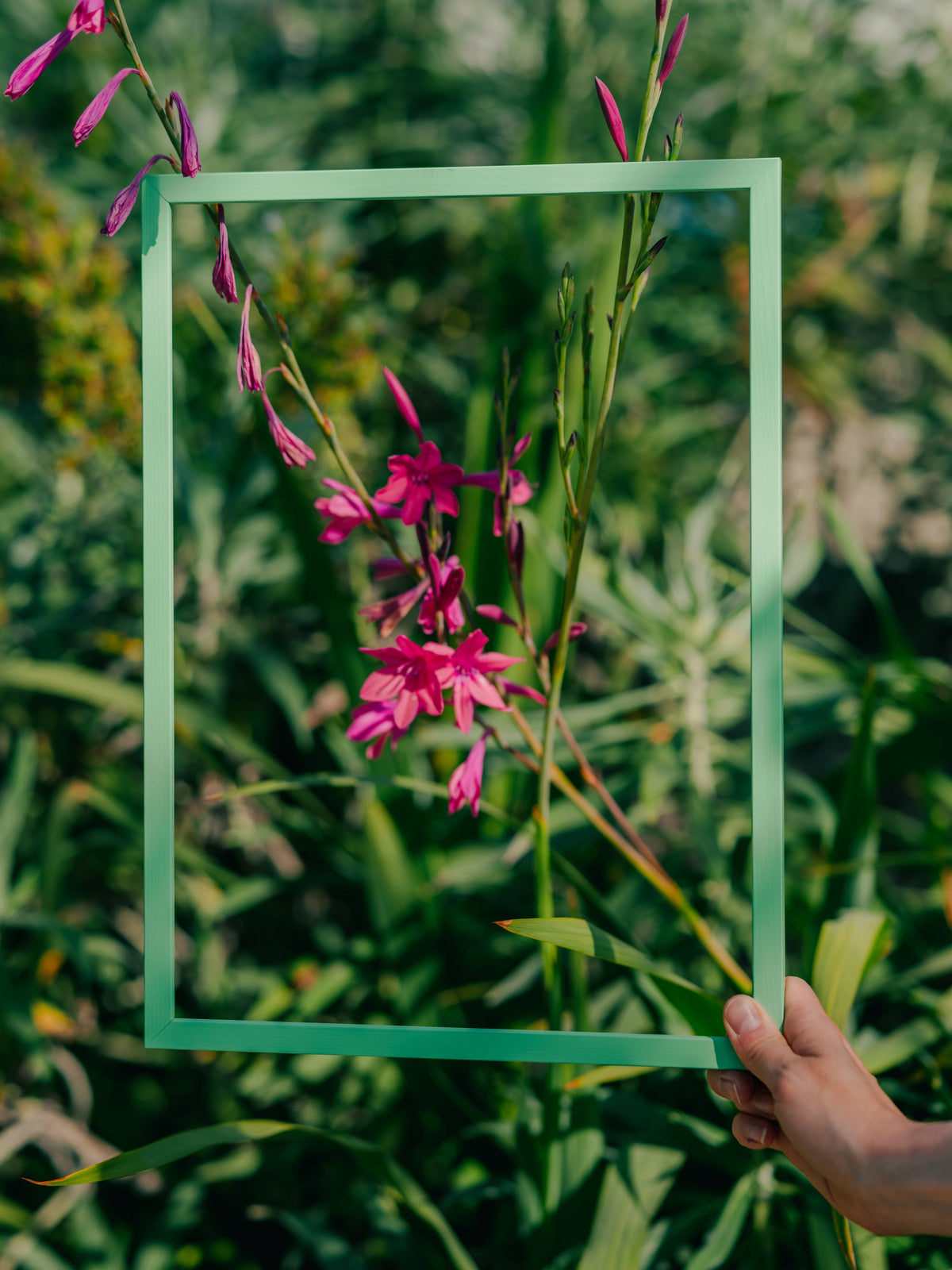 Arsenic Green Wood Picture Frame
