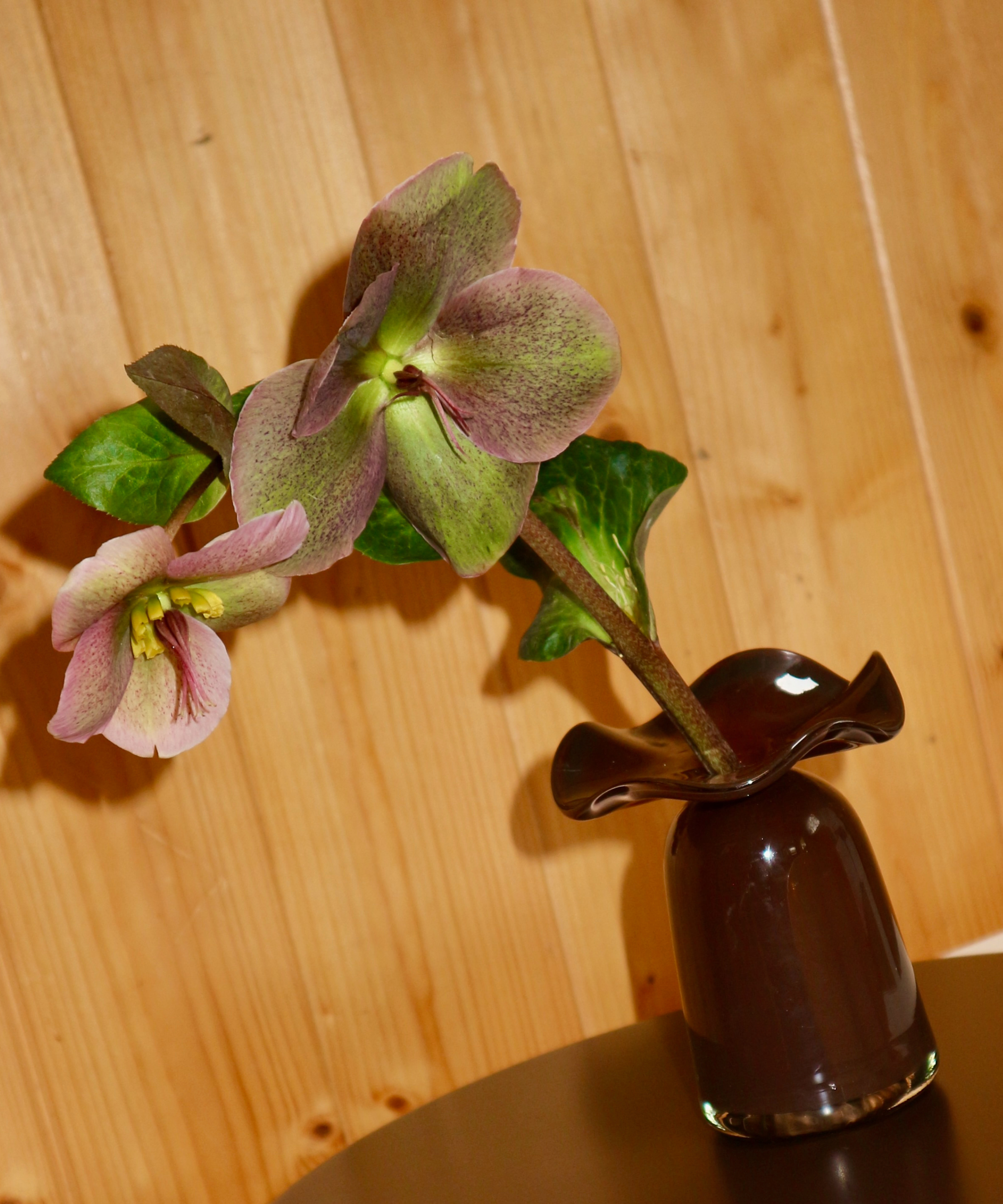 Marla Primrose Medium Handmade Glass Ruffle Bud Vase – Brown