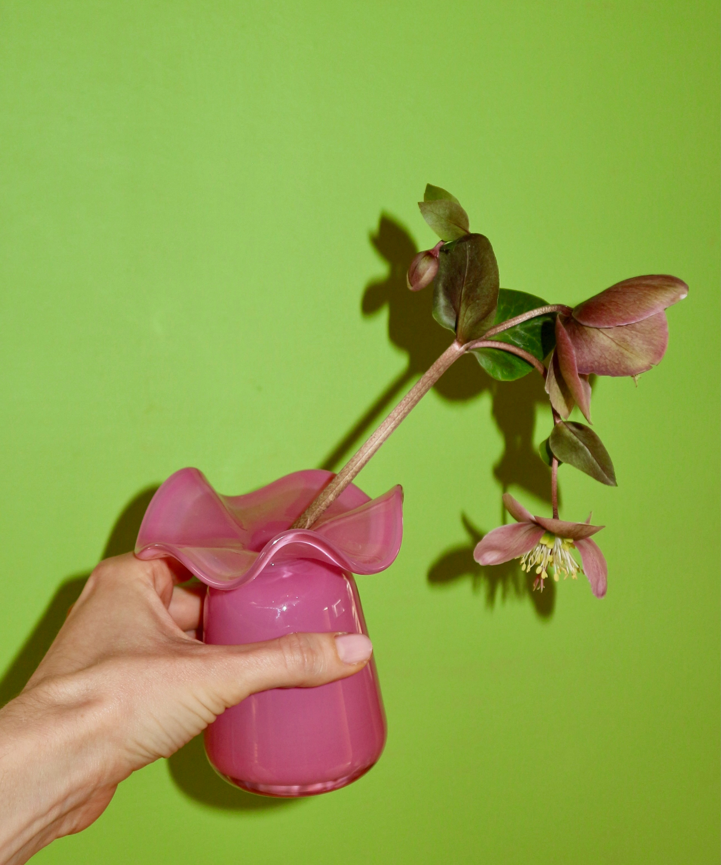 Marla Primrose Medium Handmade Glass Ruffle Bud Vase – Pink