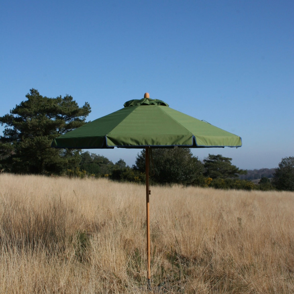 Parasol with contrast colour trim valance