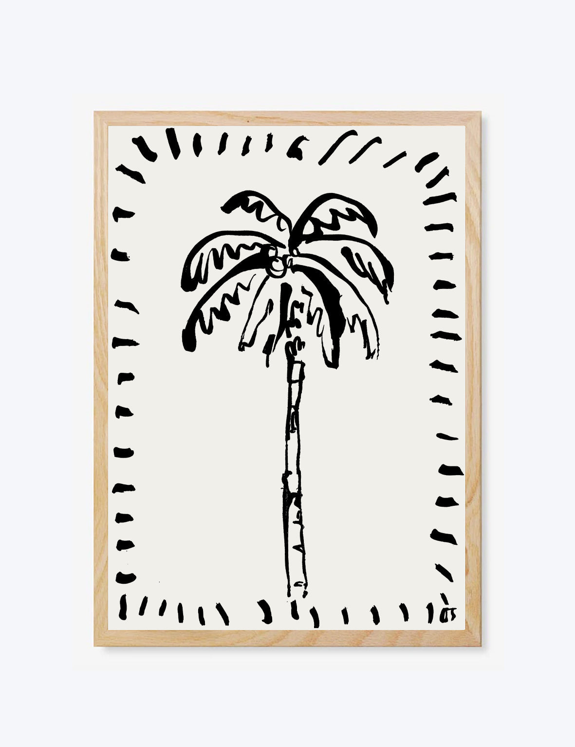The Coconut Palm