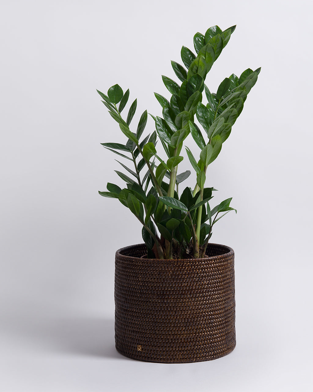 Rangoon Rattan Planter