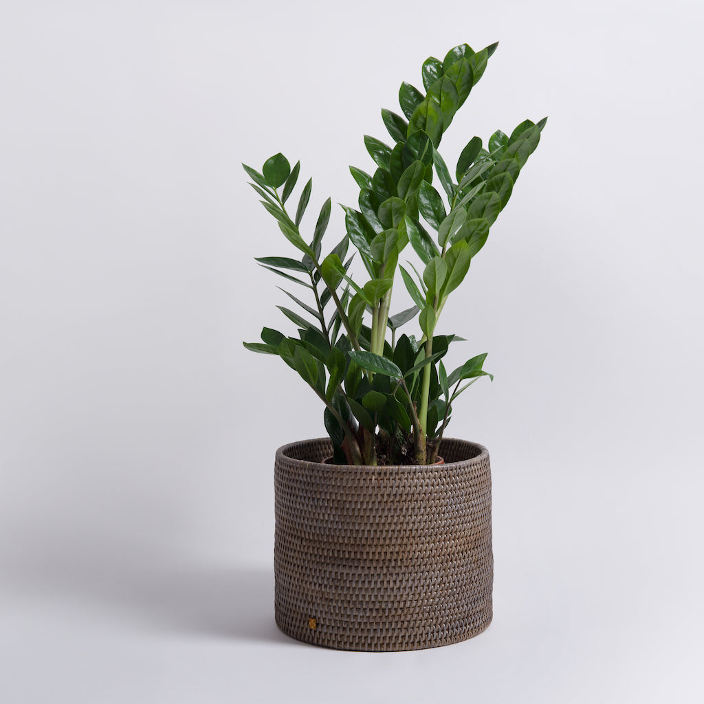 Rangoon Rattan Planter