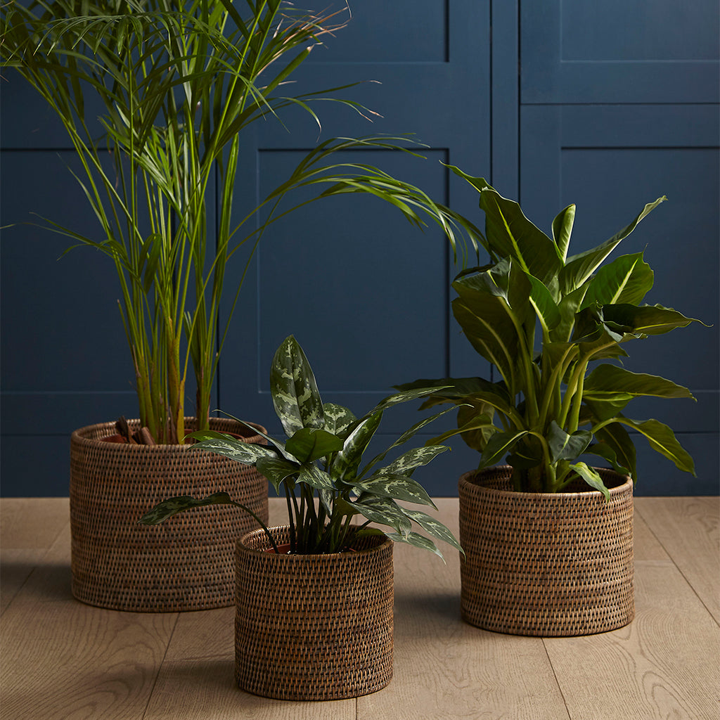 Rangoon Rattan Planter