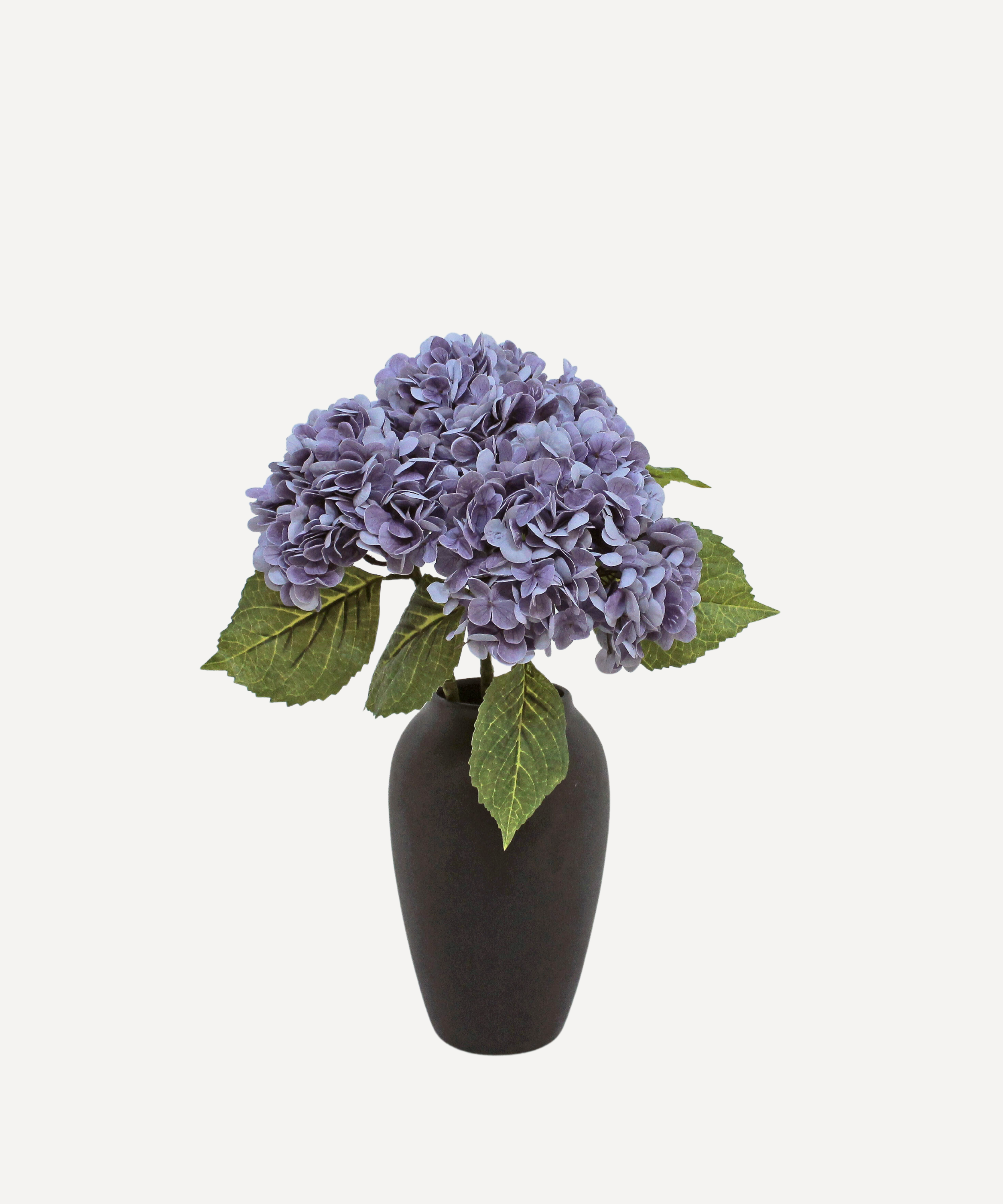 Lavender3.png