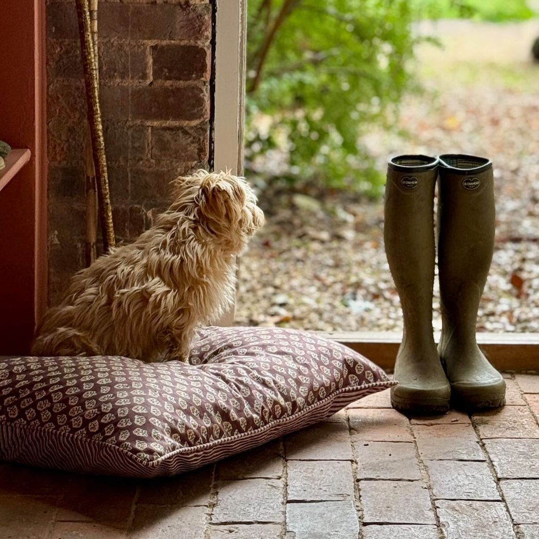 F5F36078-74C8-4E9B-8540-FCBCFCC589A1.jpg?output=png&maxage=31d&w=1048&h=1048&fit=contain&we&n=-1