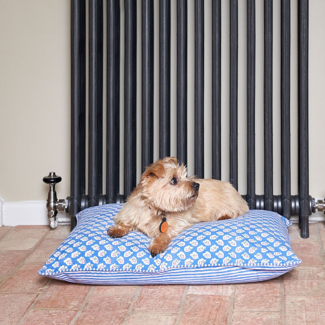 Azure_Ditsy_Dog_Bed.jpg?output=png&maxage=31d&w=1048&h=1048&fit=contain&we&n=-1
