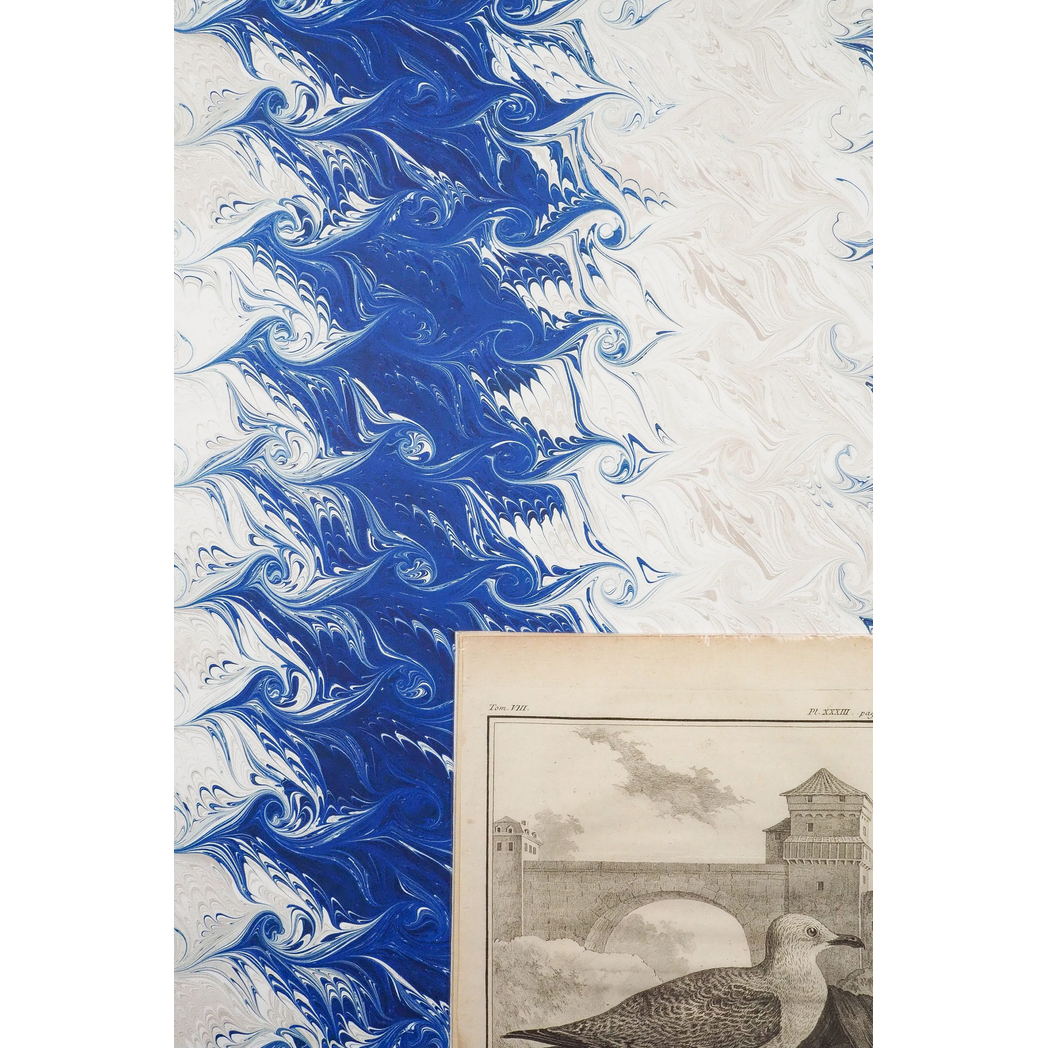 P1011845-scaled.jpg?output=png&maxage=31d&w=1048&h=1048&fit=contain&we&n=-1