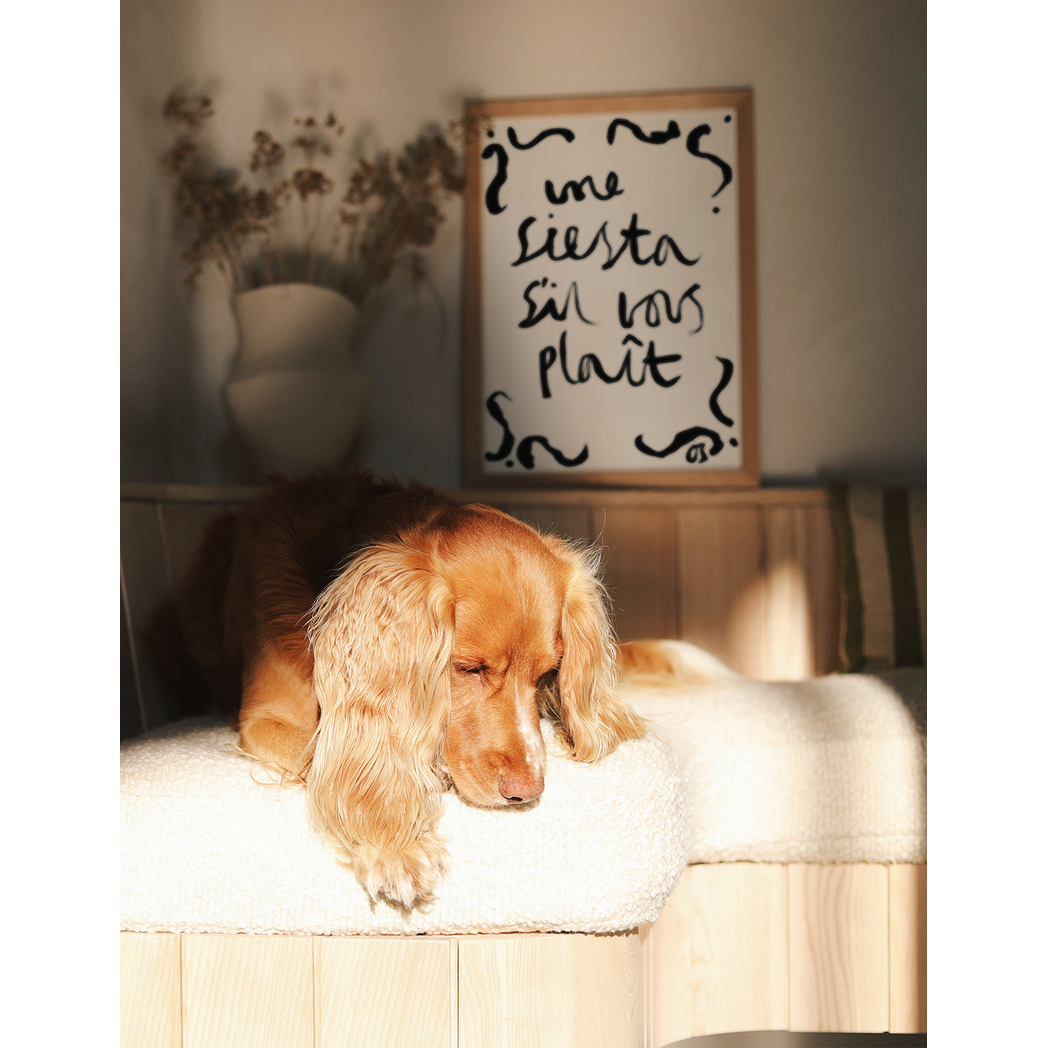 Une Siesta S'il Vous Plaît