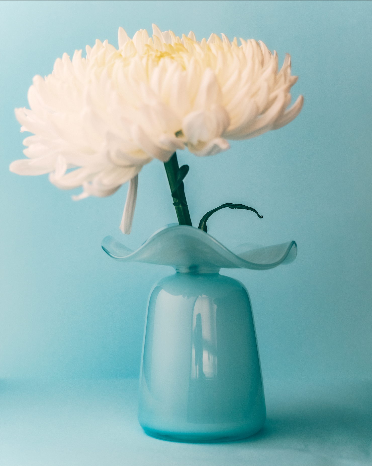 Marla Primrose Medium Handmade Glass Ruffle Bud Vase – Blue
